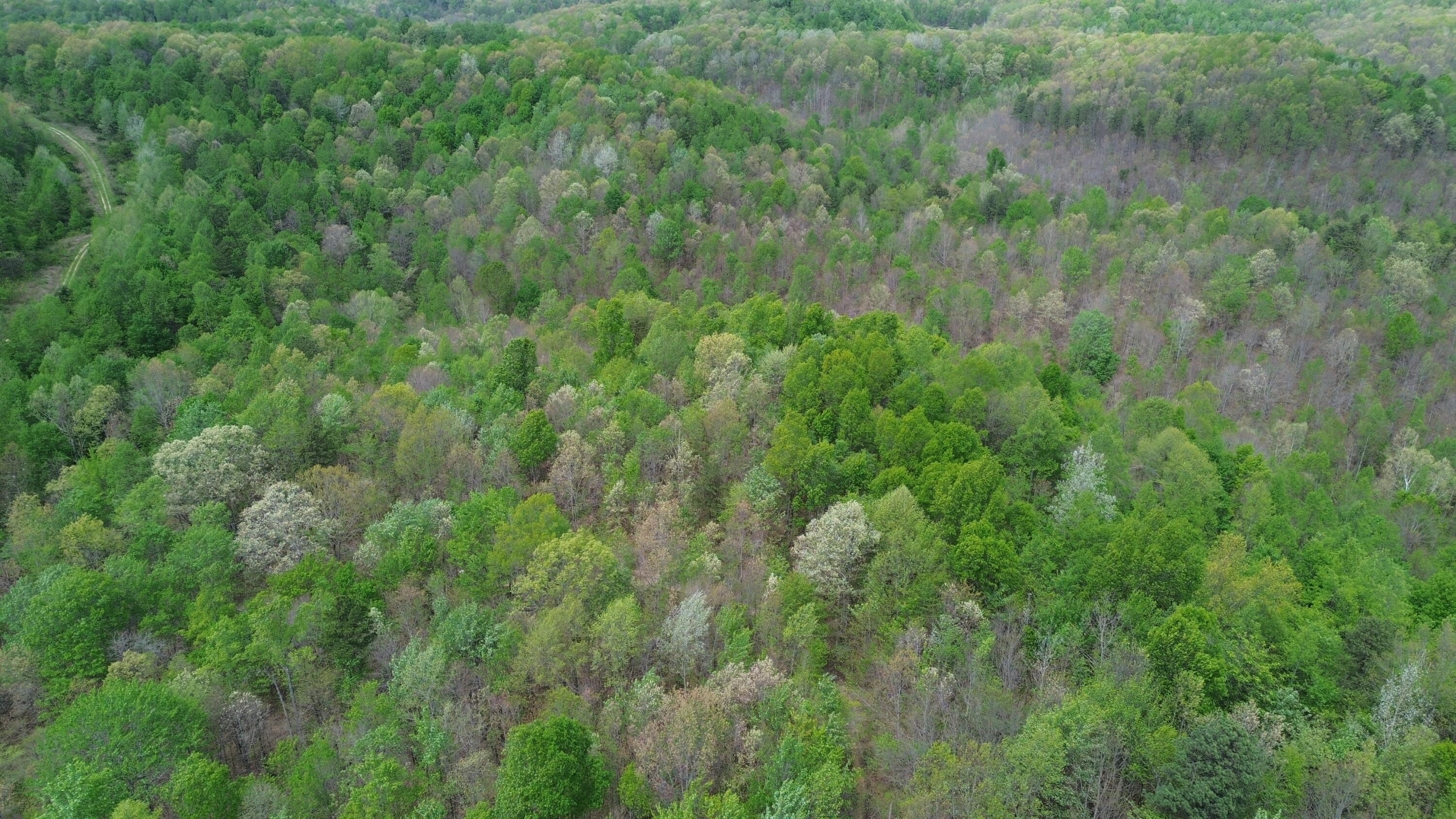 566a Tunnel Ridge Road Property Photo 43