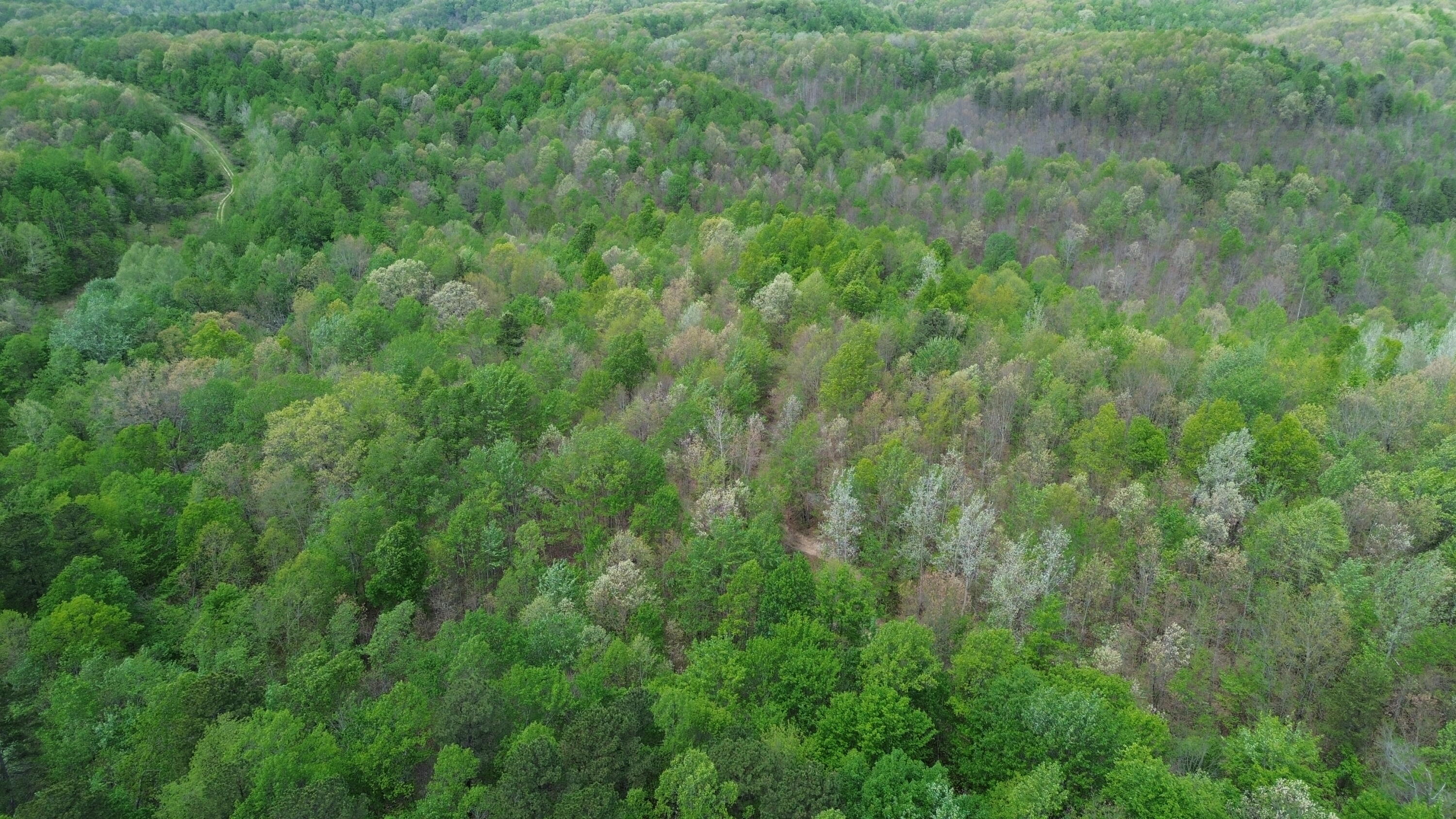 566a Tunnel Ridge Road Property Photo 45