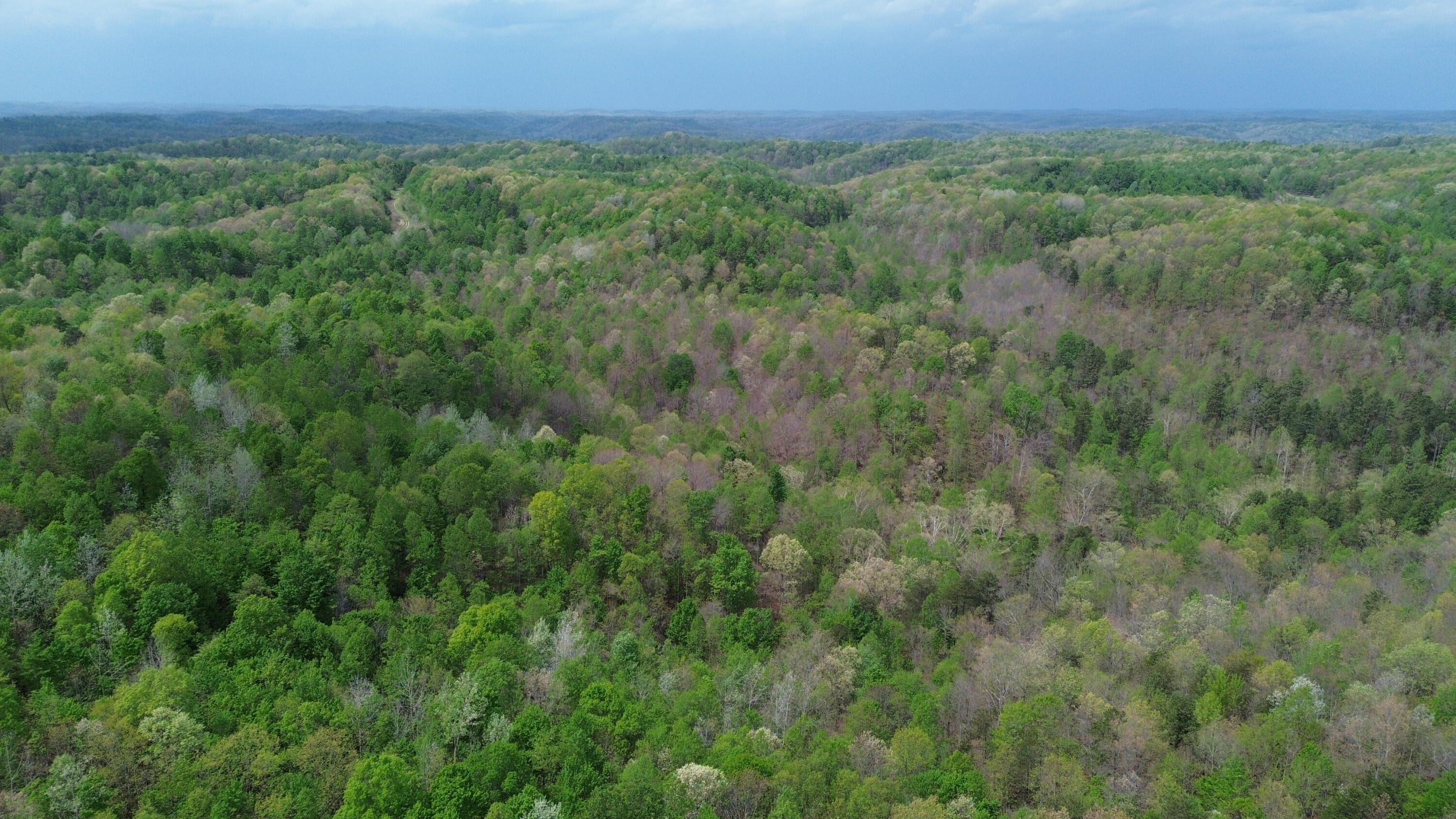 566a Tunnel Ridge Road Property Photo 49