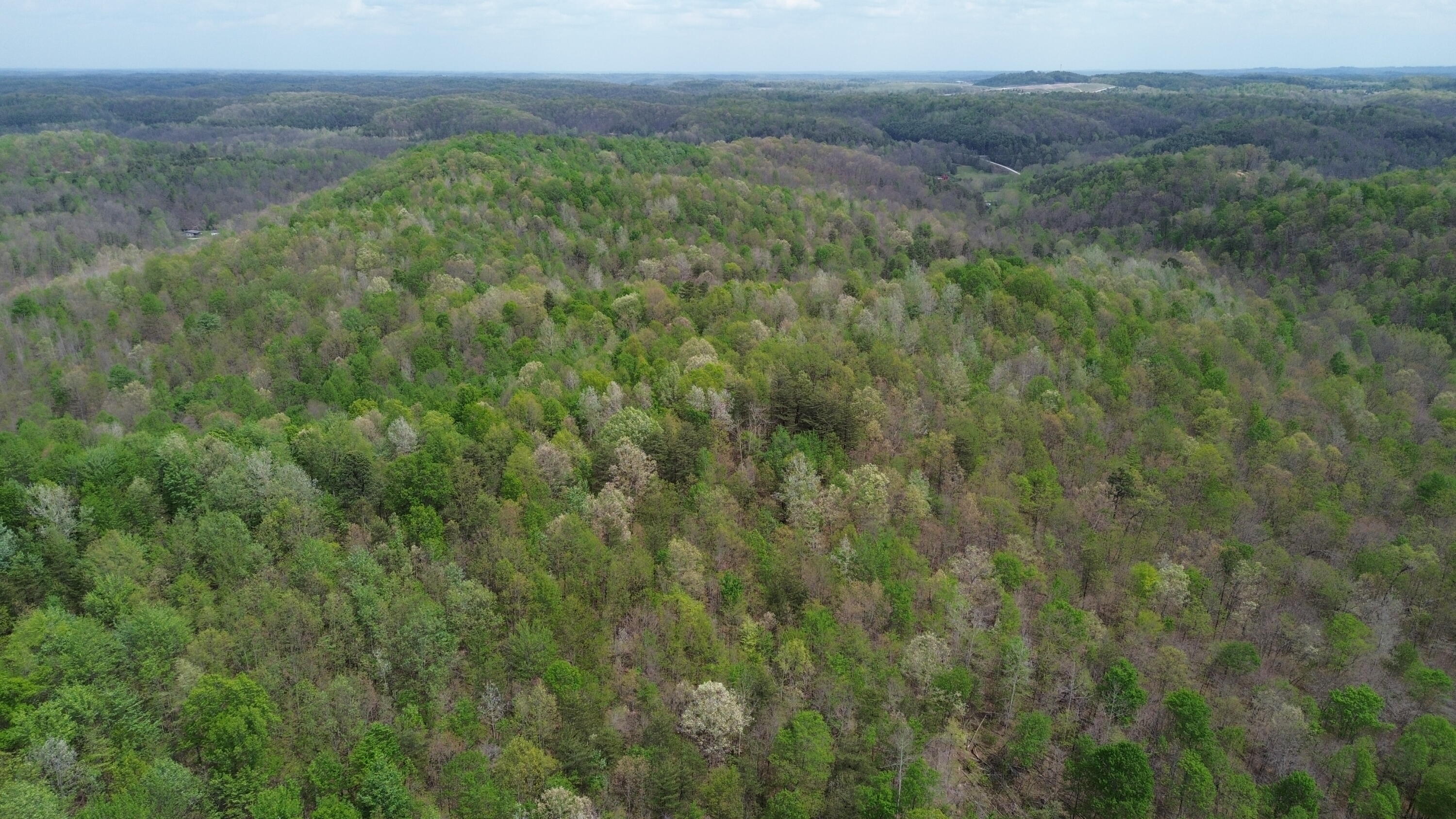 566a Tunnel Ridge Road Property Photo 71