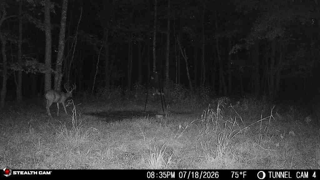 566a Tunnel Ridge Road Property Photo 74