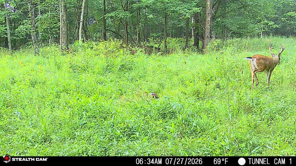 566a Tunnel Ridge Road Property Photo 80