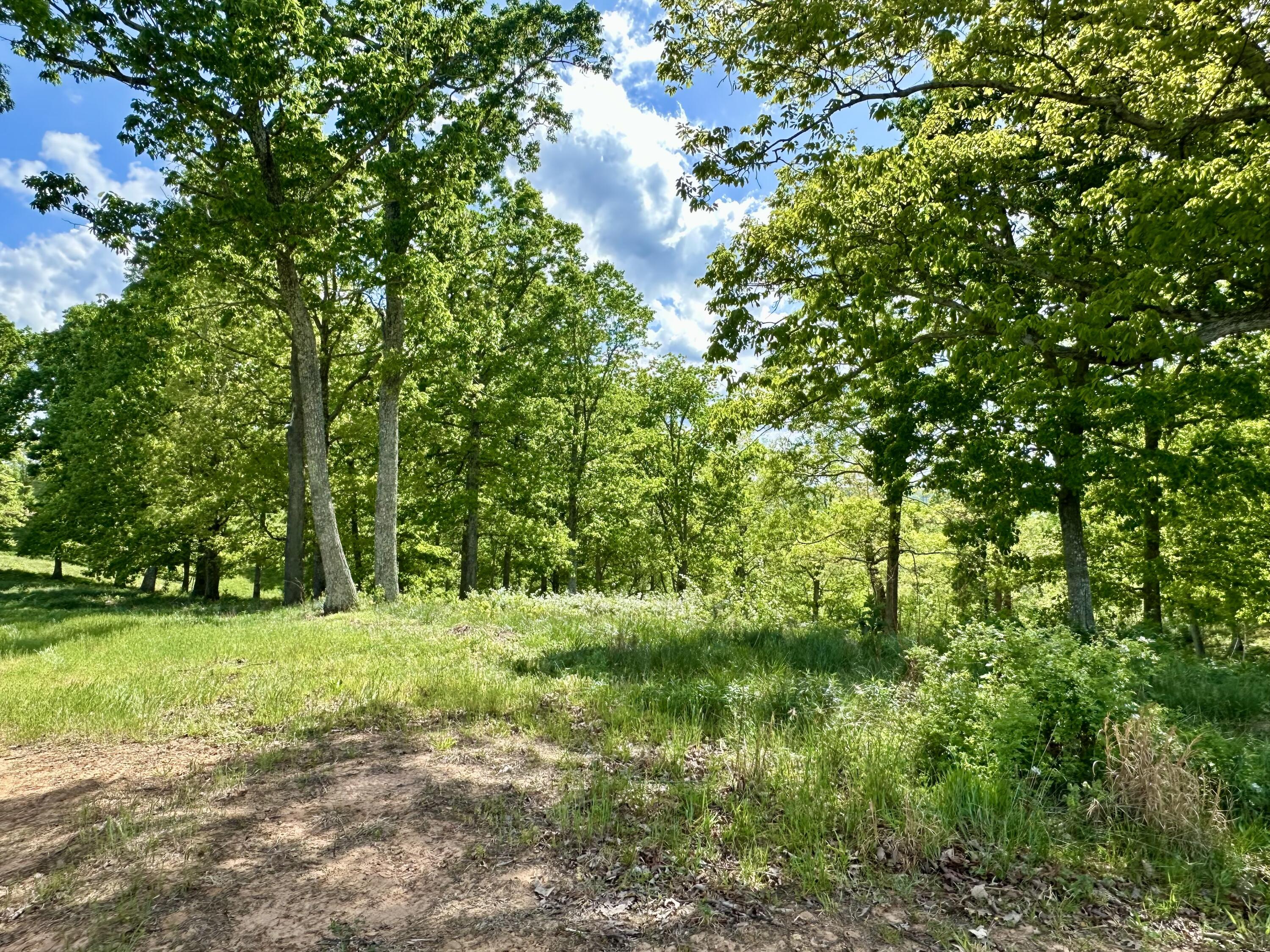 119 Hawk Tract 23 Property Photo 17