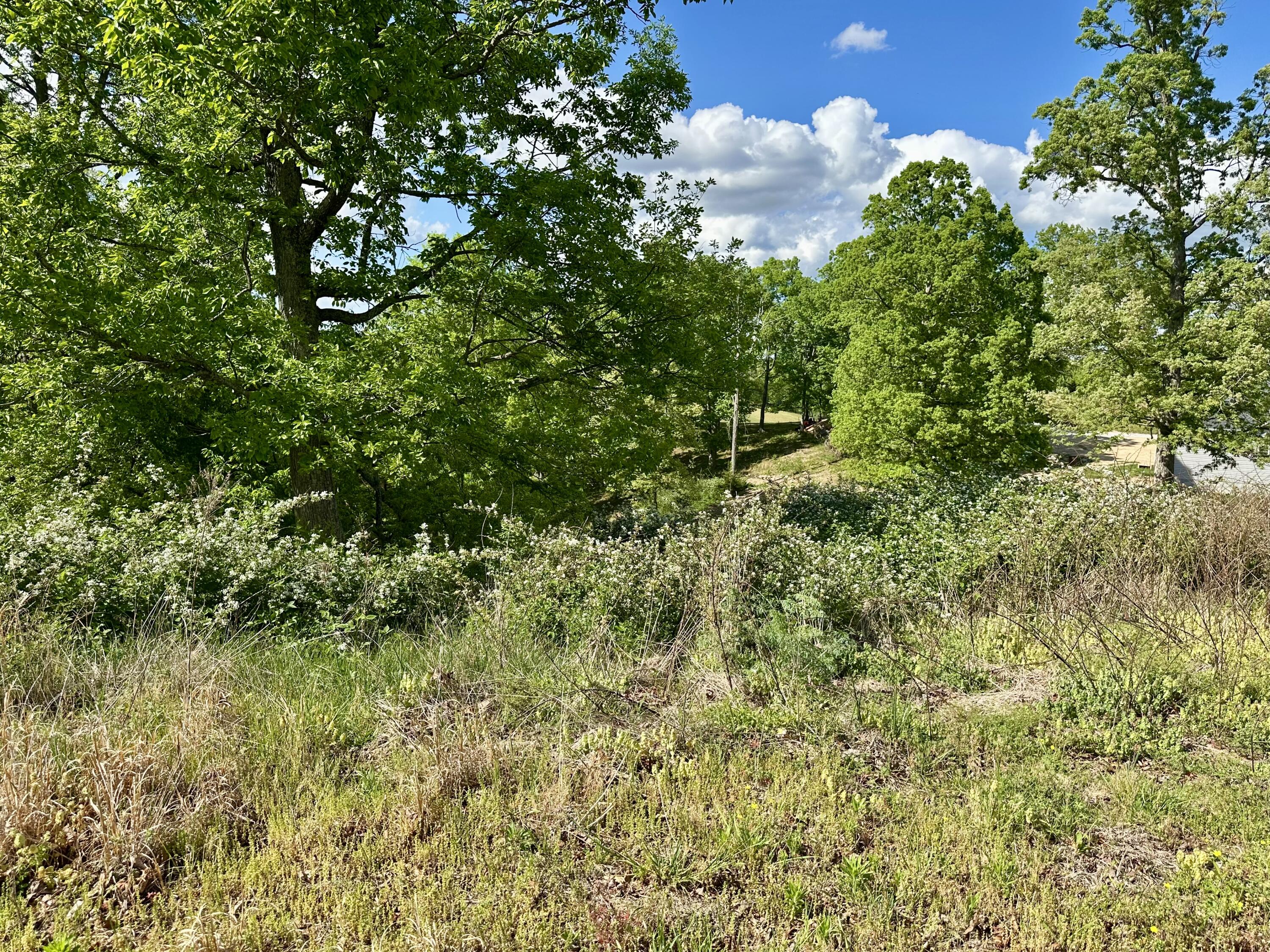 119 Hawk Tract 23 Property Photo 19