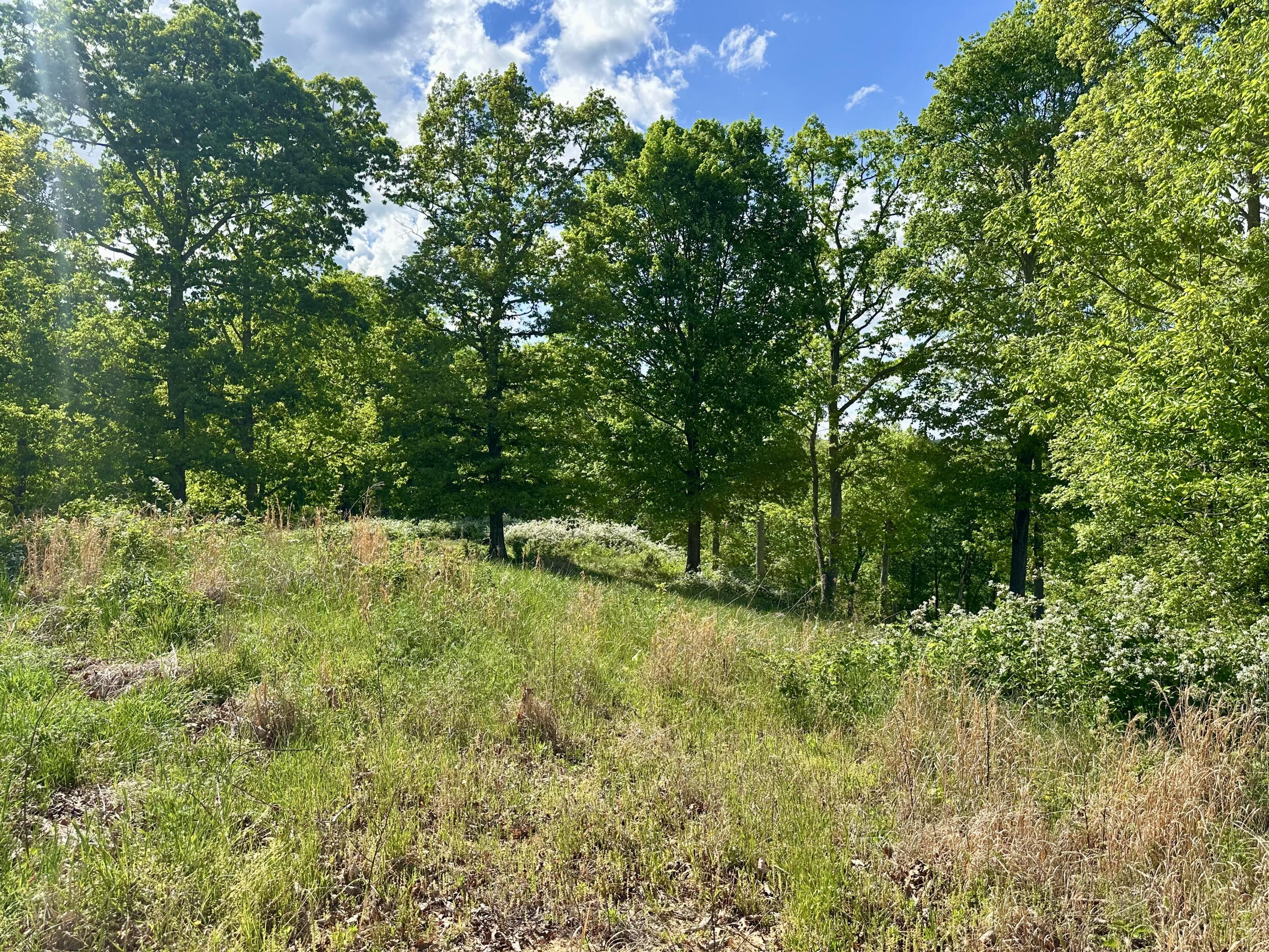 119 Hawk Tract 23 Property Photo 21