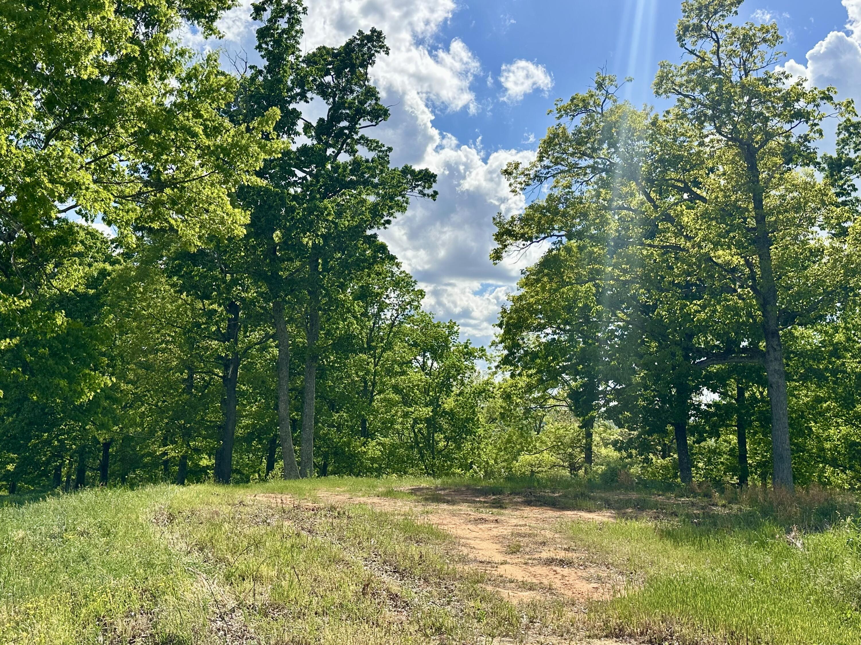119 Hawk Tract 23 Property Photo 24