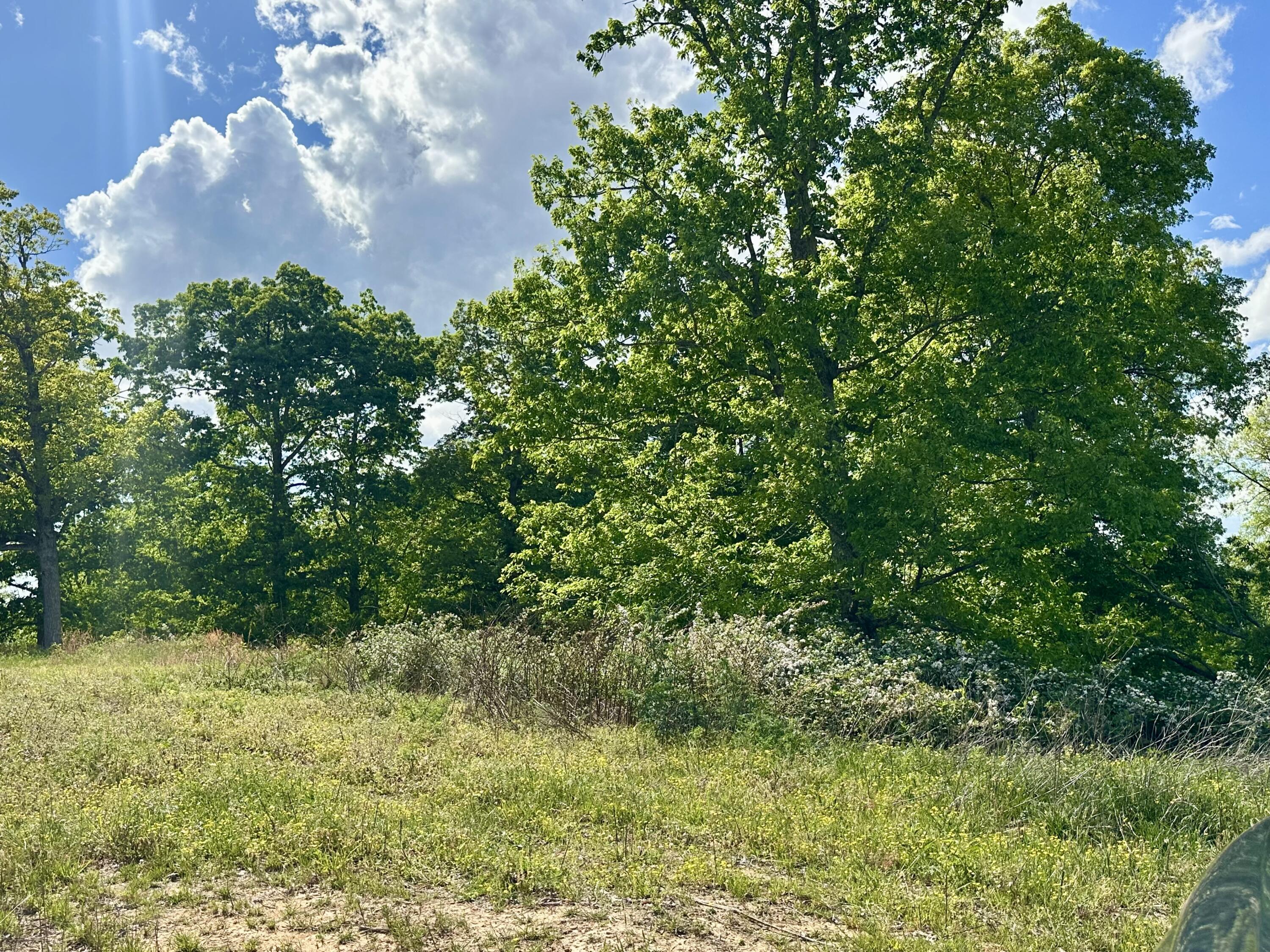 119 Hawk Tract 23 Property Photo 25
