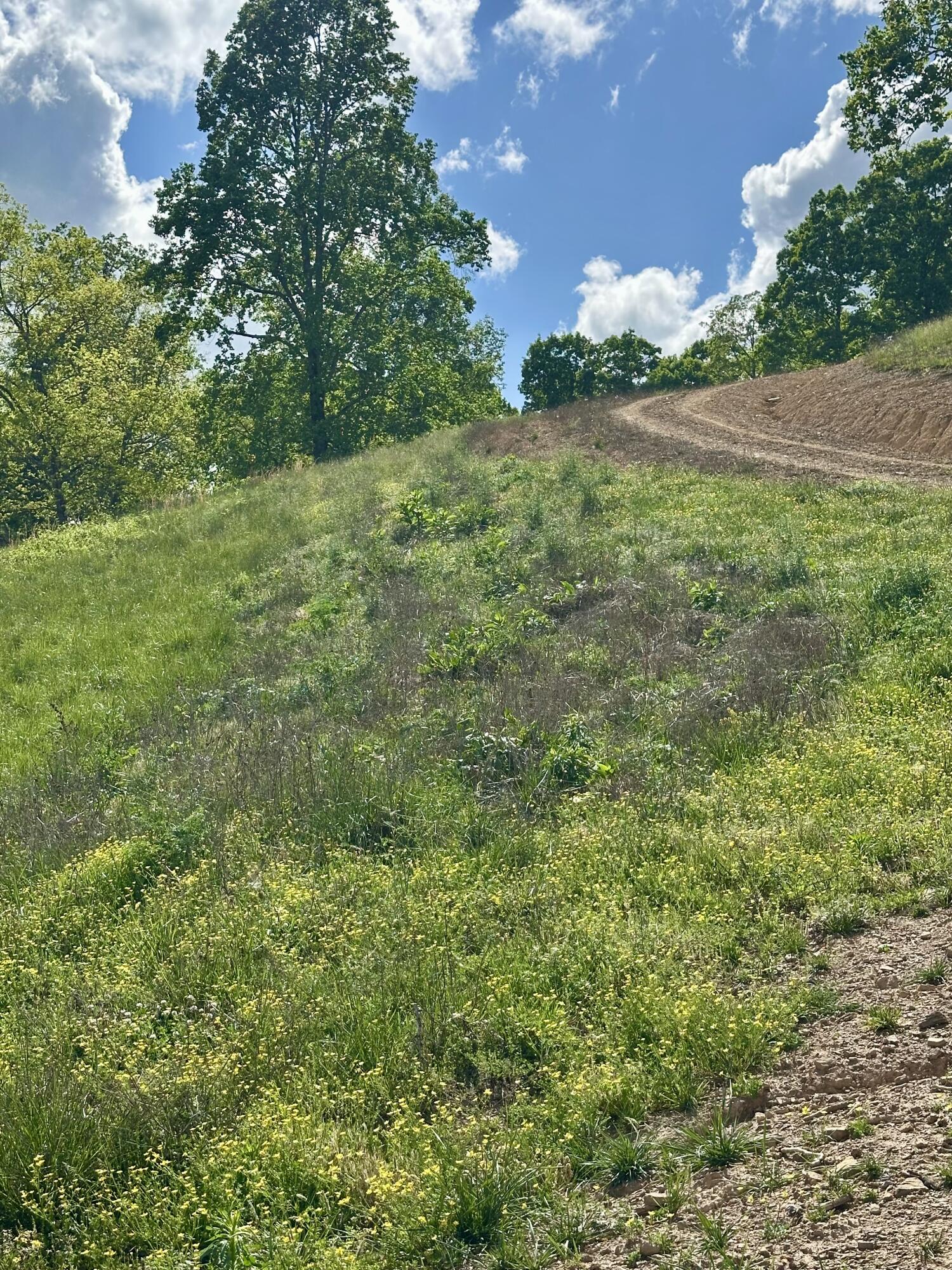 119 Hawk Tract 23 Property Photo 30