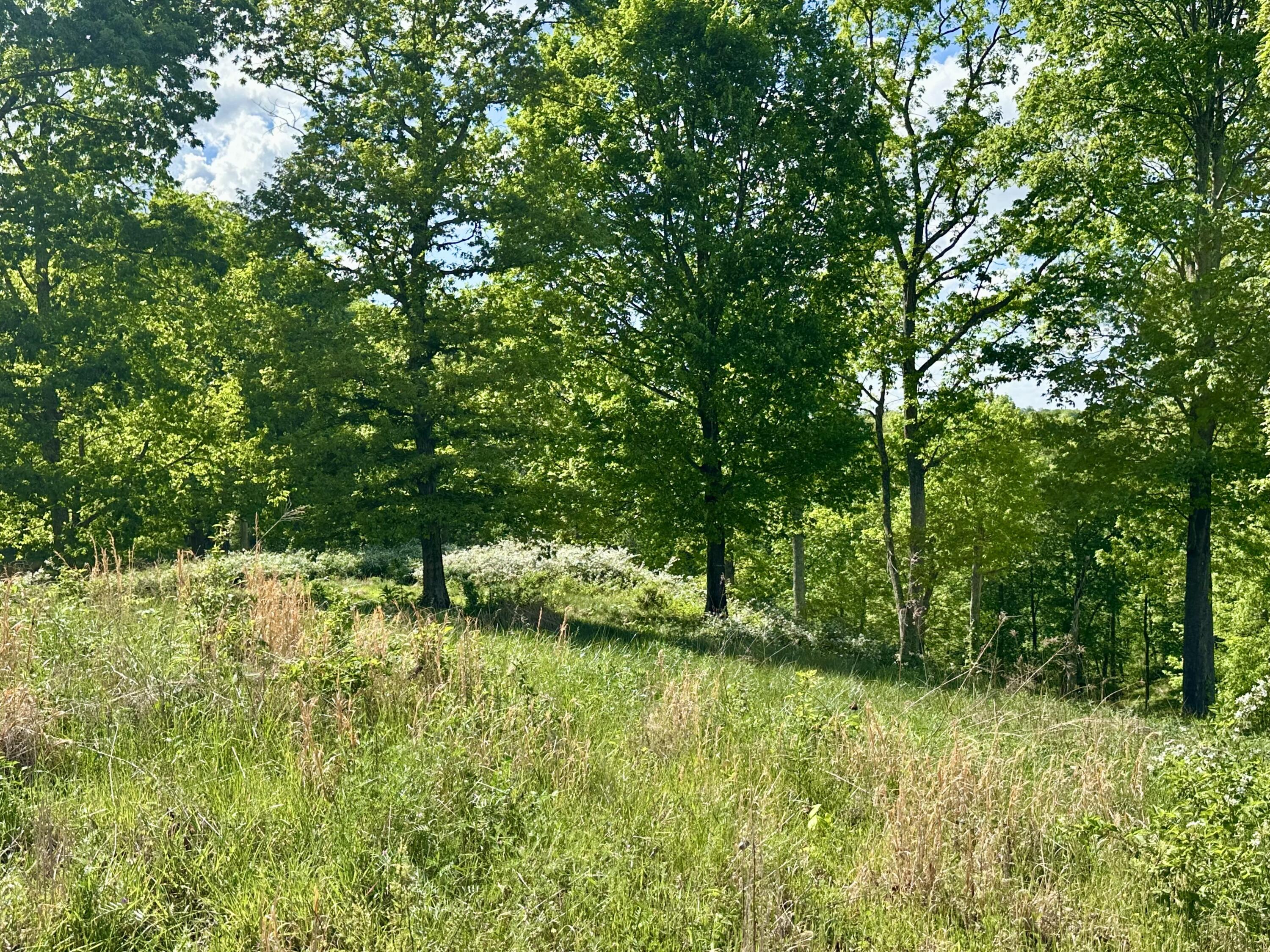 119 Hawk Tract 23 Property Photo 32