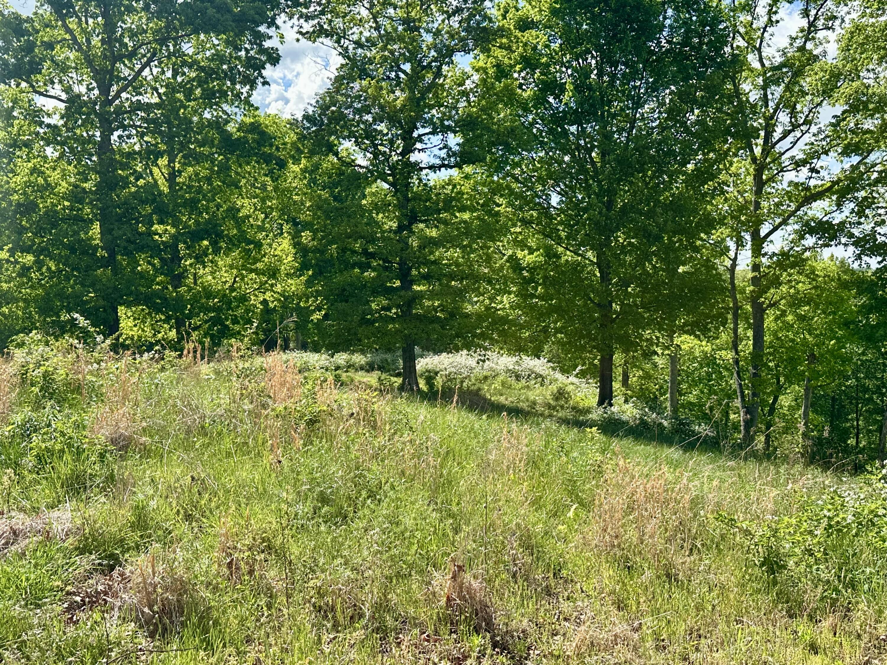 119 Hawk Tract 23 Property Photo 33