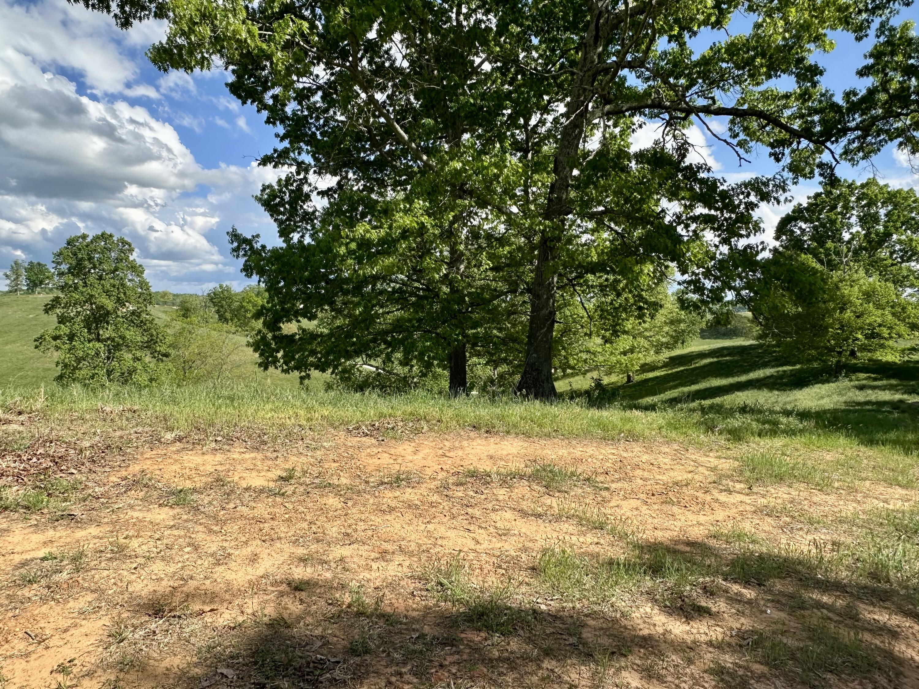 119 Hawk Tract 23 Property Photo 34