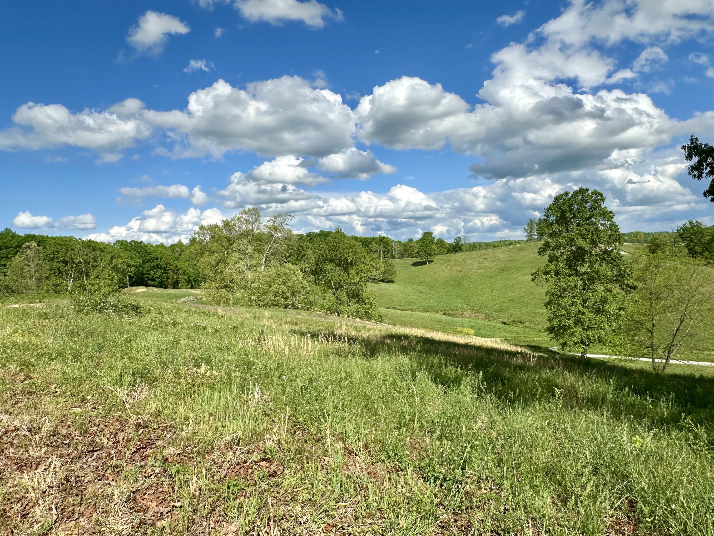 119 Hawk Tract 23 Property Photo 35