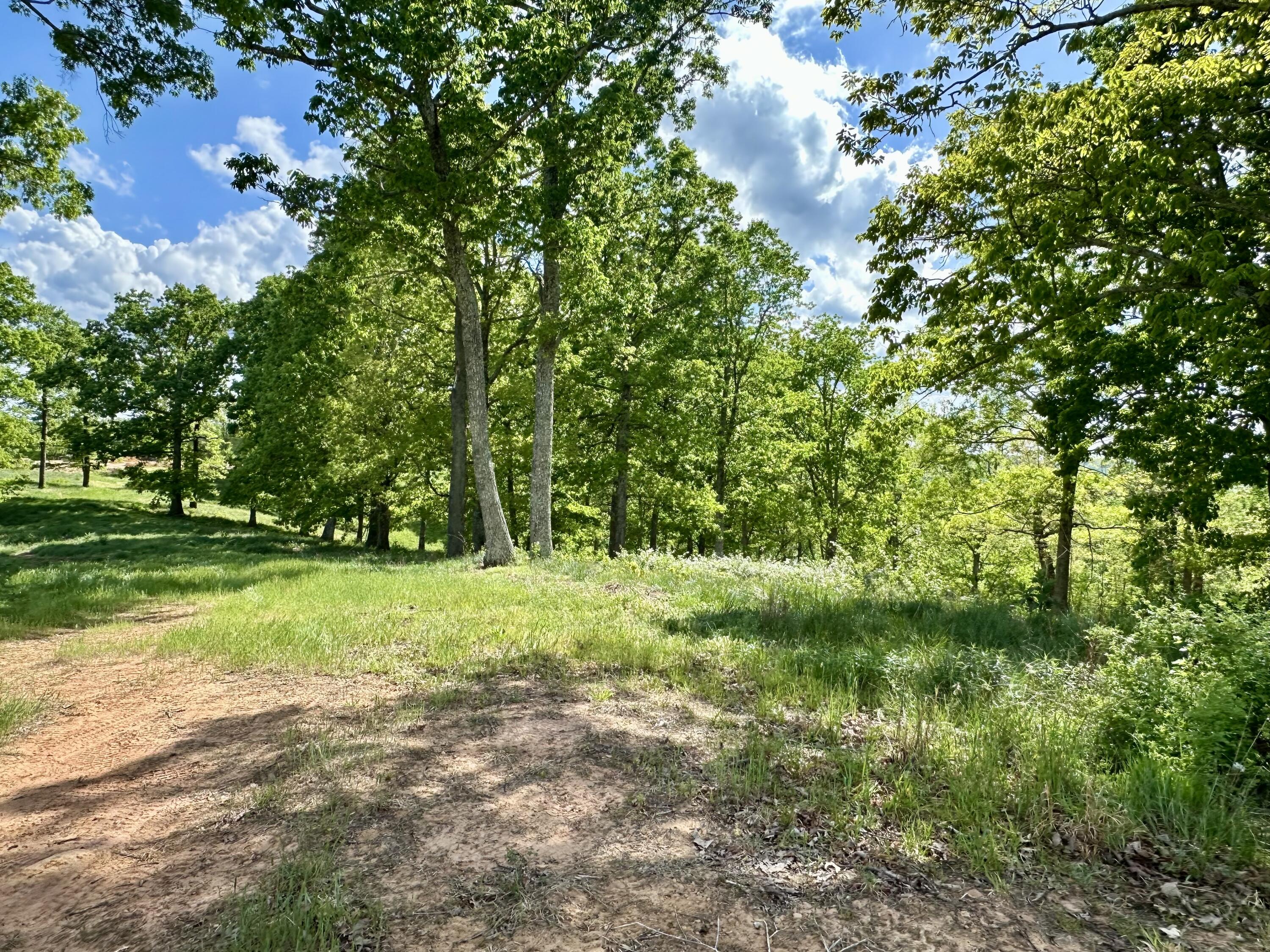 119 Hawk Tract 23 Property Photo 39