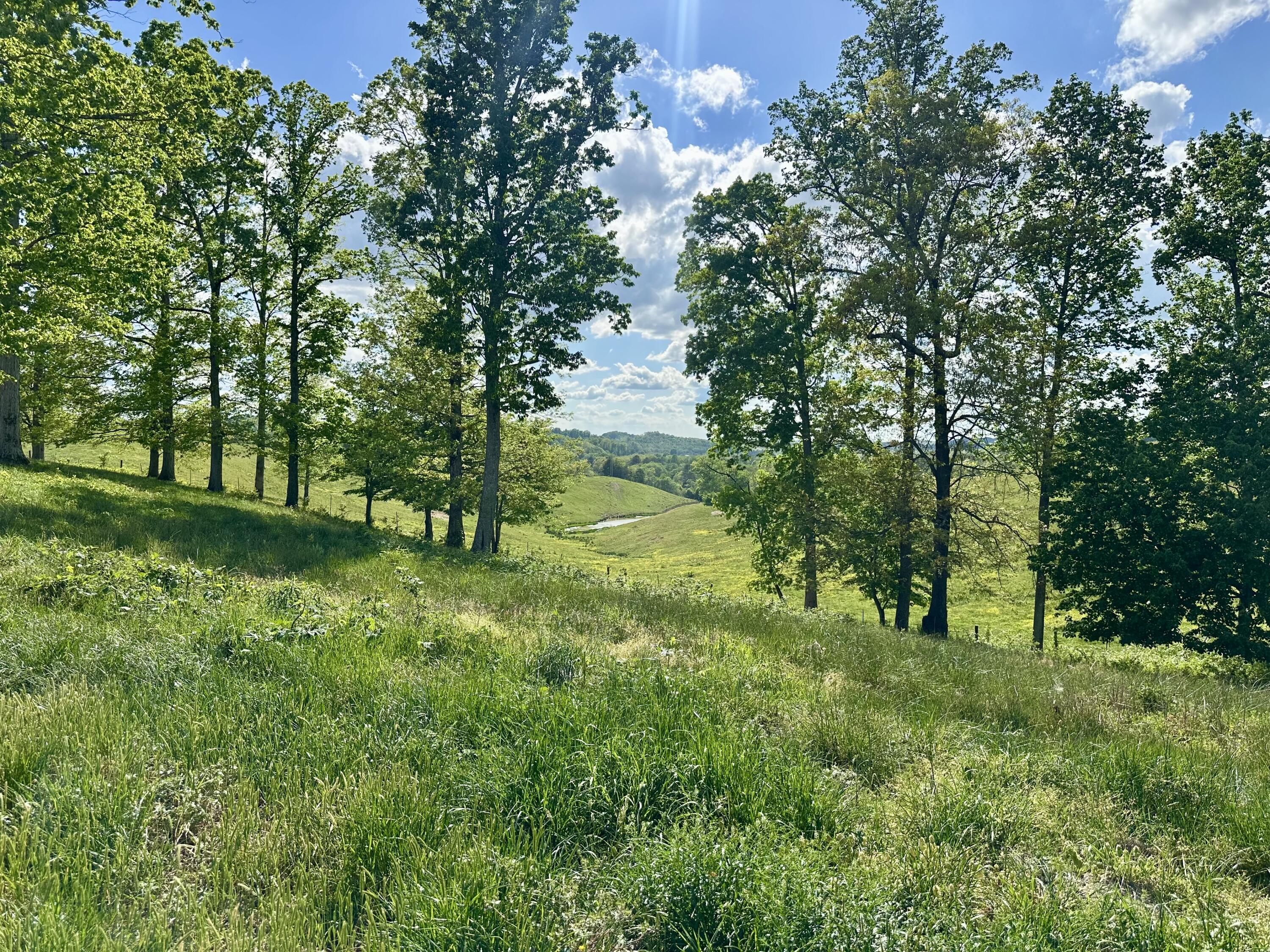 754 Pittsburg Landing Tract 26 Property Photo 4