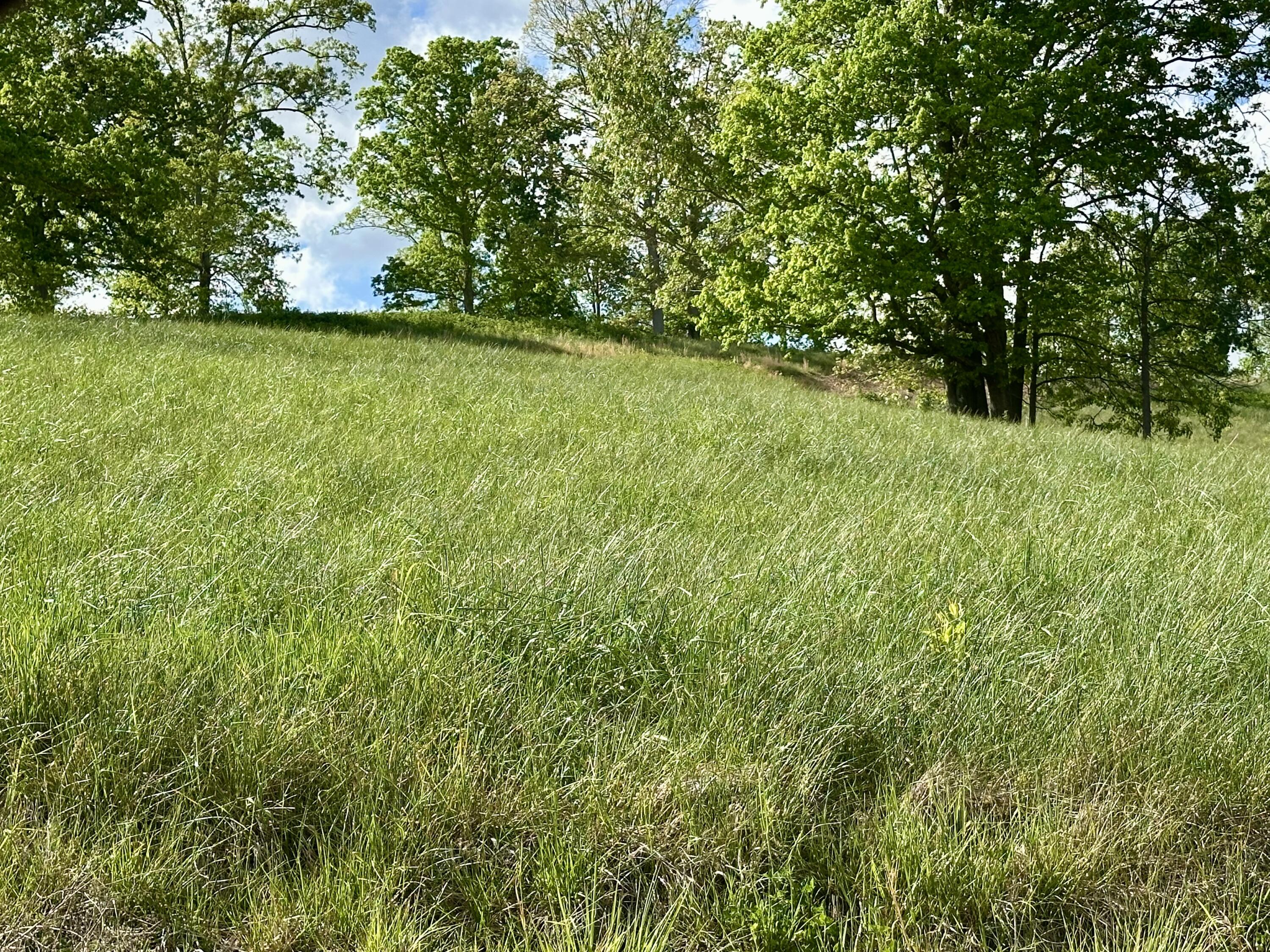 754 Pittsburg Landing Tract 26 Property Photo 12