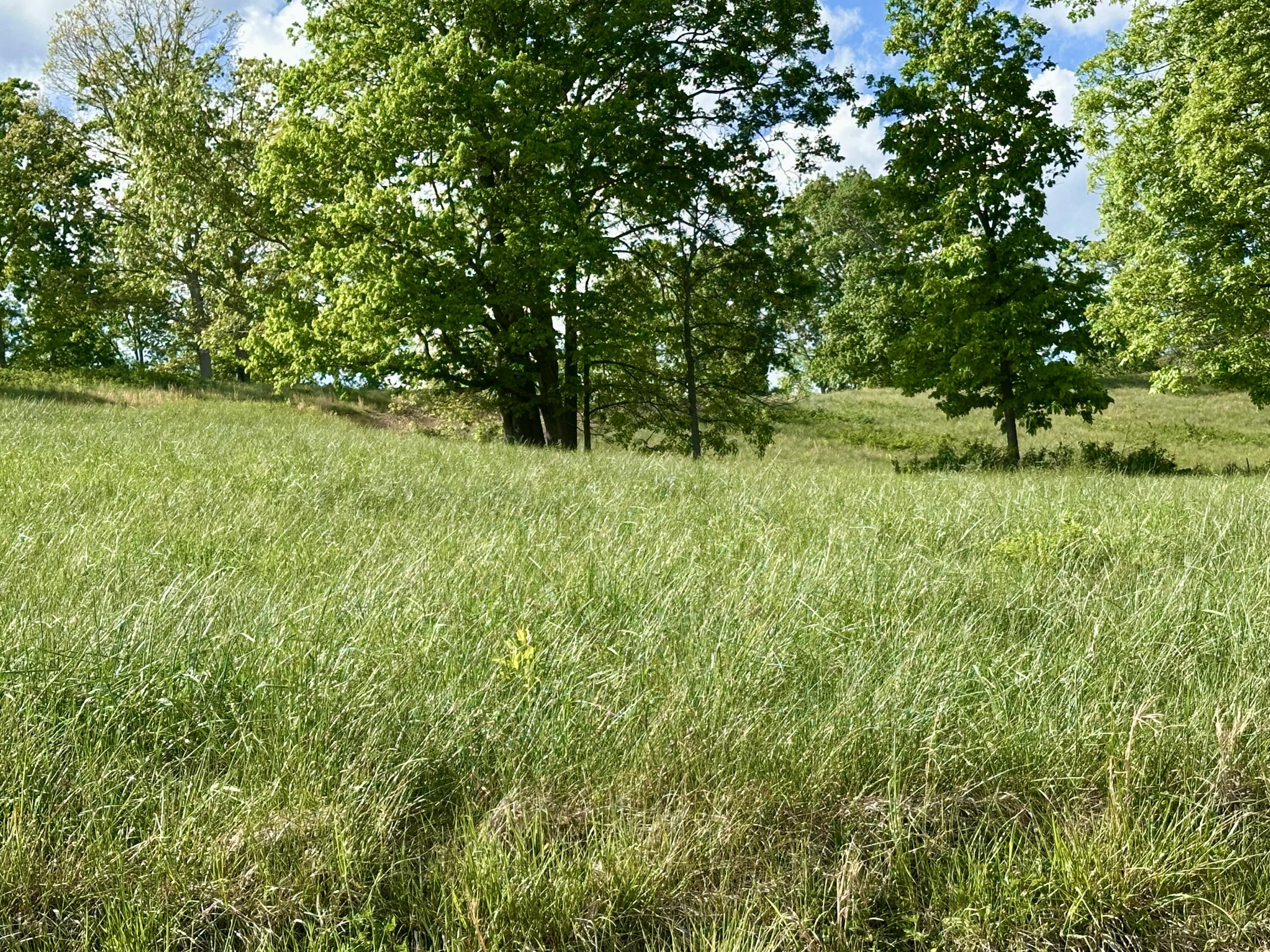754 Pittsburg Landing Tract 26 Property Photo 33