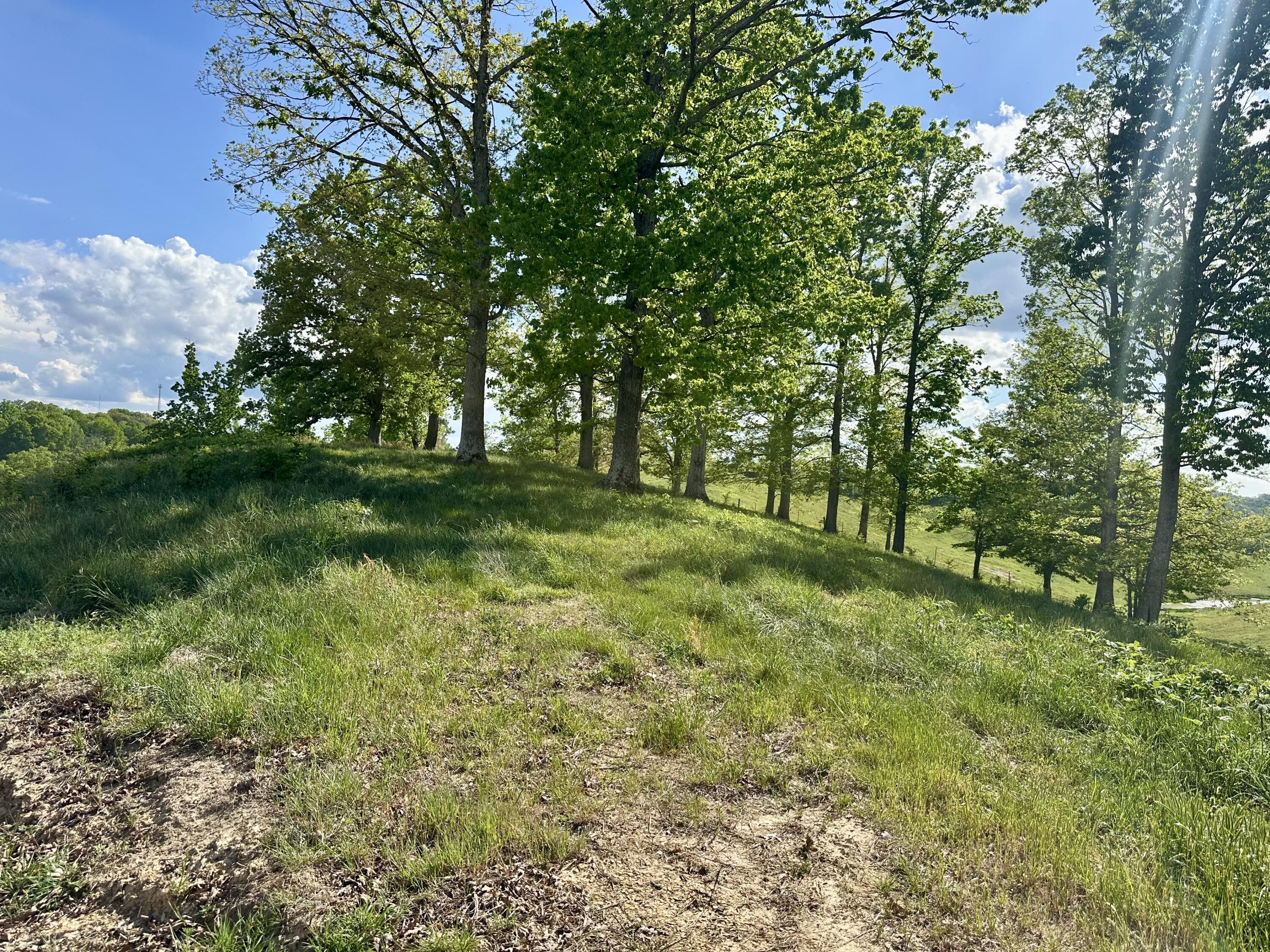 754 Pittsburg Landing Tract 26 Property Photo 36