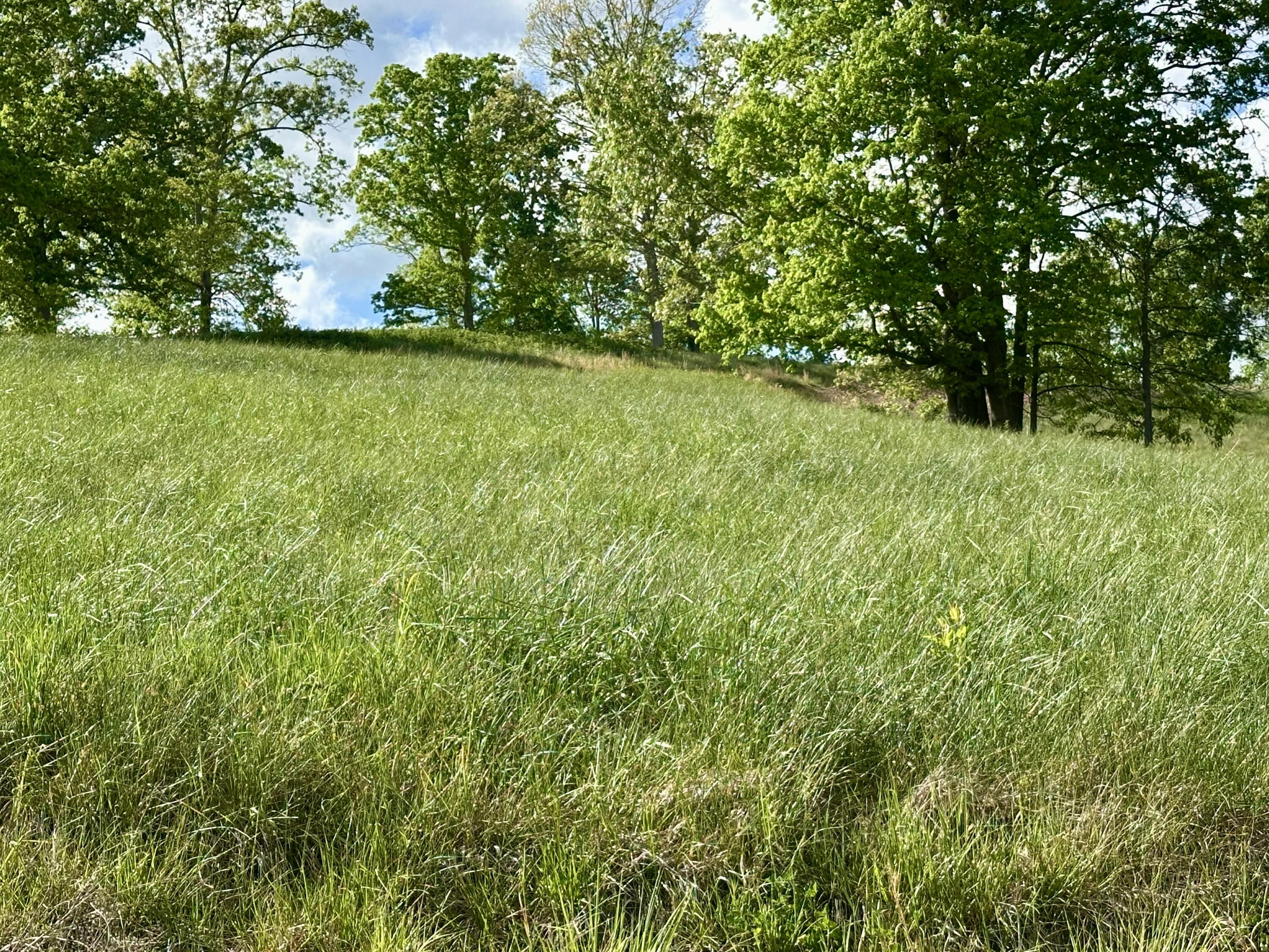 754 Pittsburg Landing Tract 26 Property Photo 43