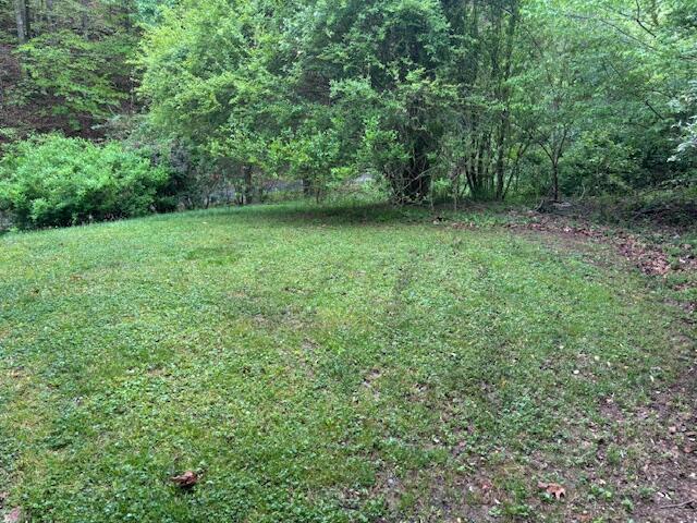 993 Lick Branch Road Property Photo 18