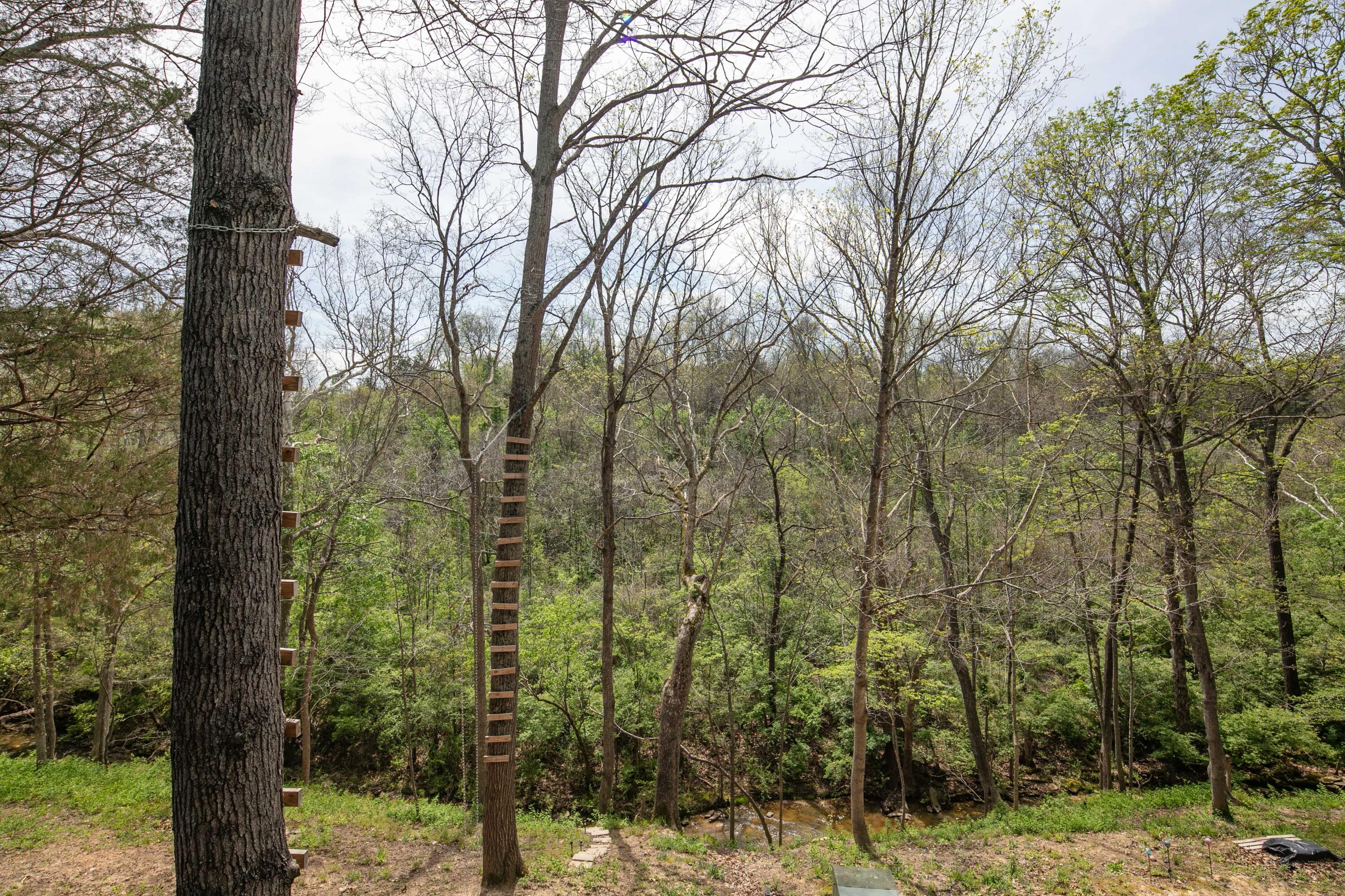 2140 Crystal Creek Drive Property Photo 43