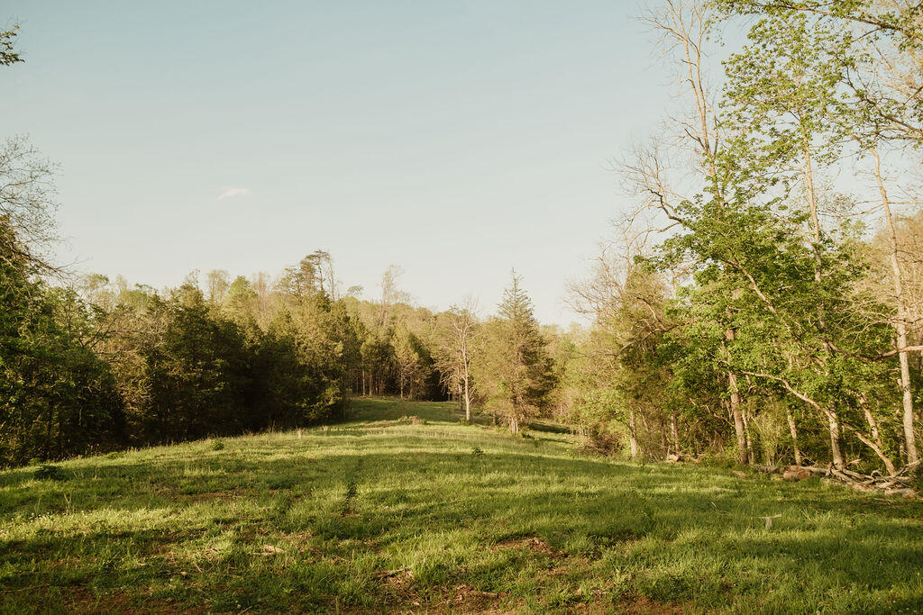 2697 Pine Ridge Road Property Photo 4