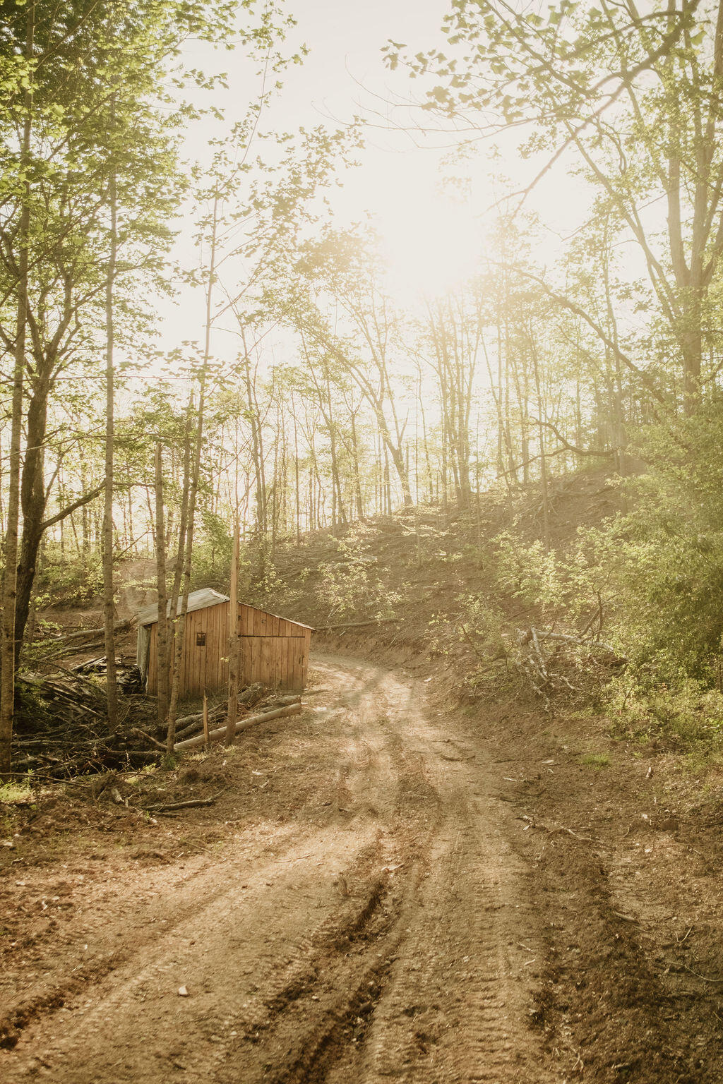 2697 Pine Ridge Road Property Photo 6