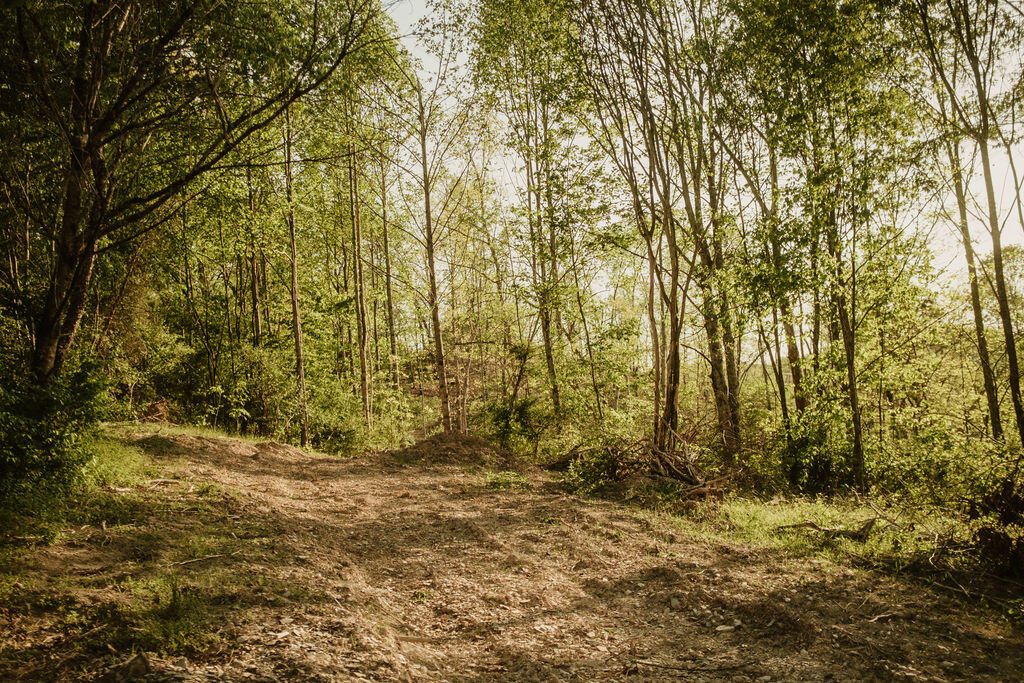 2697 Pine Ridge Road Property Photo 7