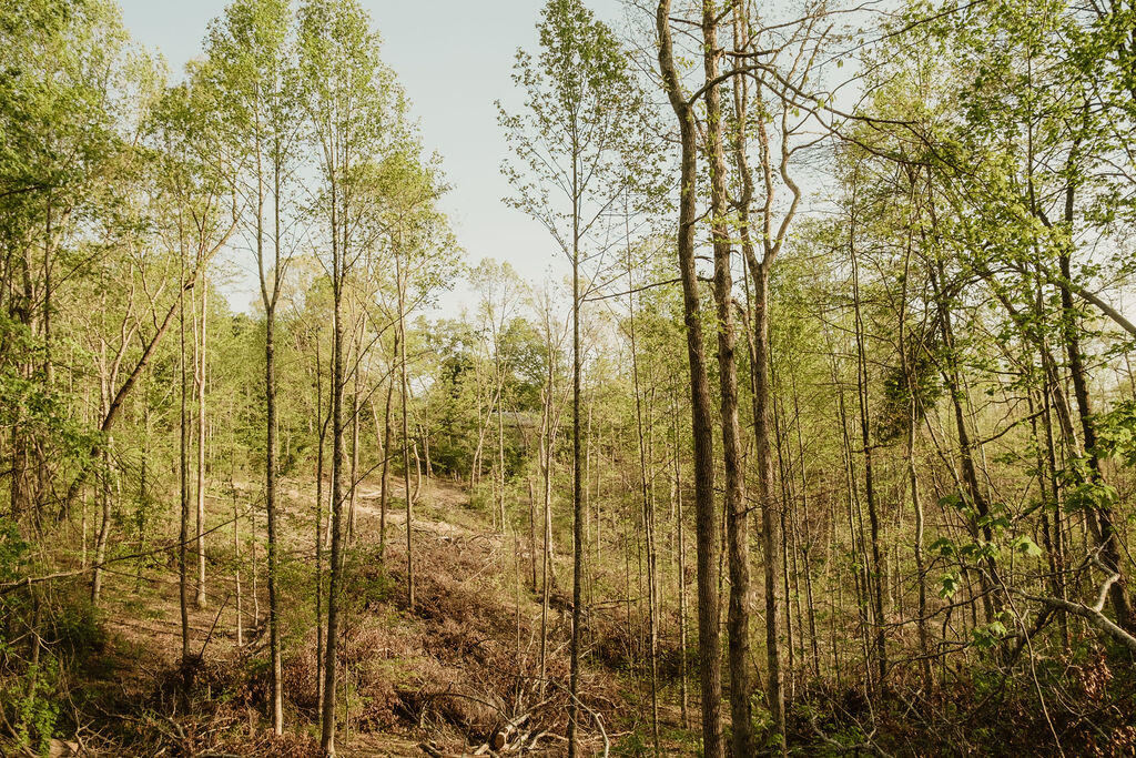 2697 Pine Ridge Road Property Photo 9