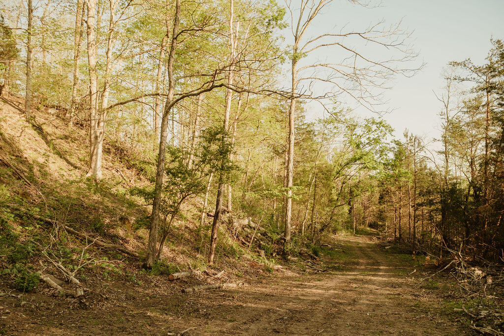 2697 Pine Ridge Road Property Photo 11