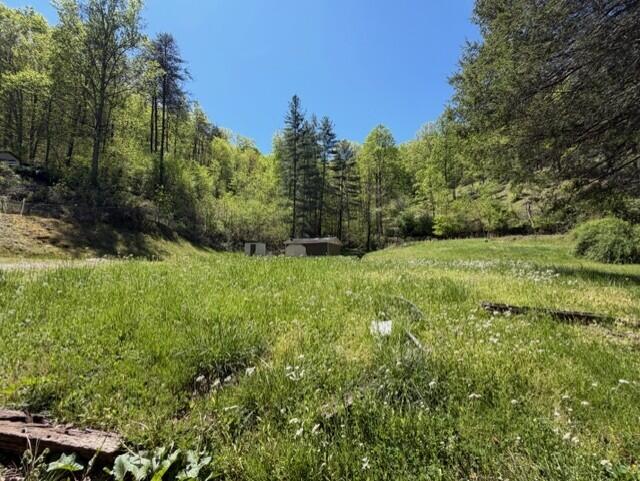 1310 Little Blacklog Road Property Photo 2