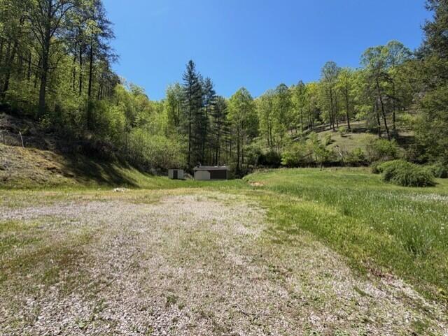 1310 Little Blacklog Road Property Photo 3