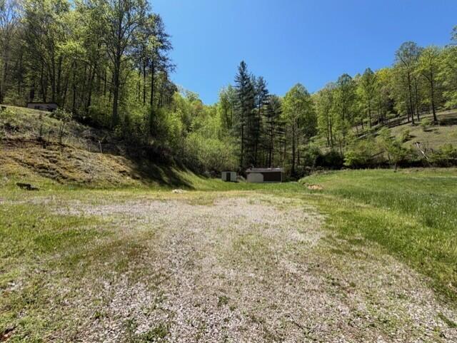 1310 Little Blacklog Road Property Photo 4