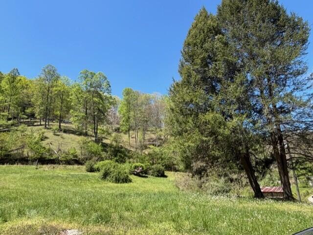 1310 Little Blacklog Road Property Photo 6