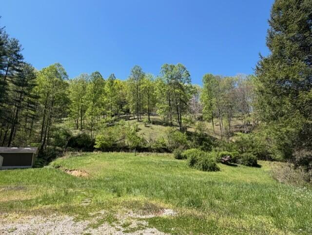 1310 Little Blacklog Road Property Photo 7