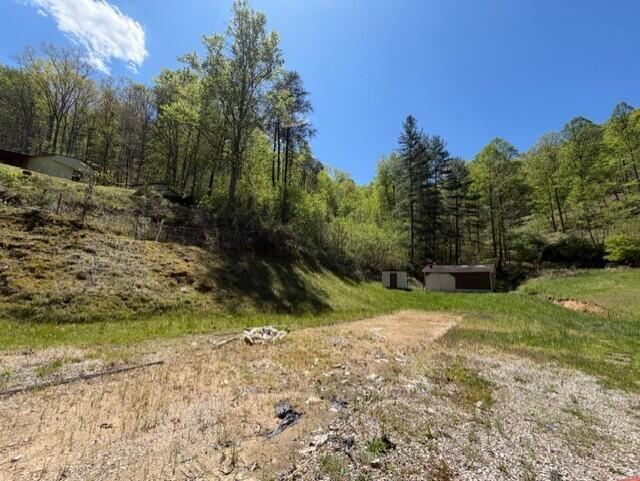 1310 Little Blacklog Road Property Photo 8