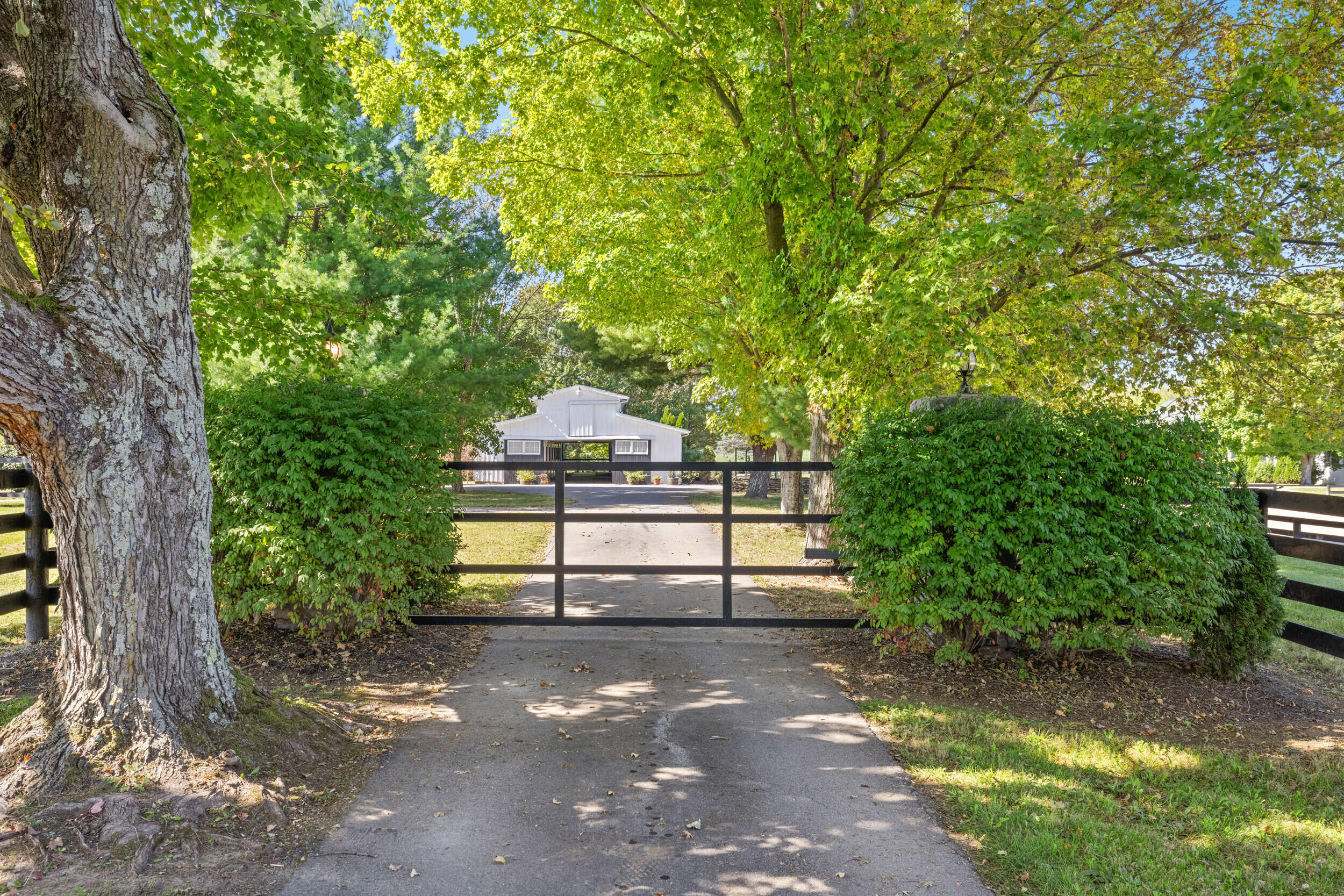 4781 Mount Horeb Pike Property Photo 60