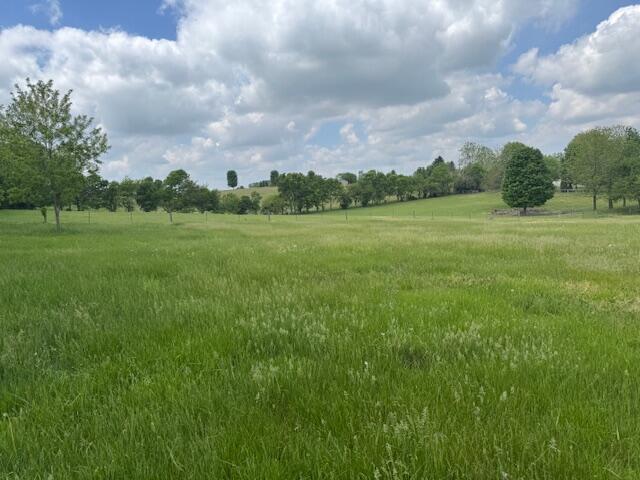 235 Winterhawk Lane Property Photo 10