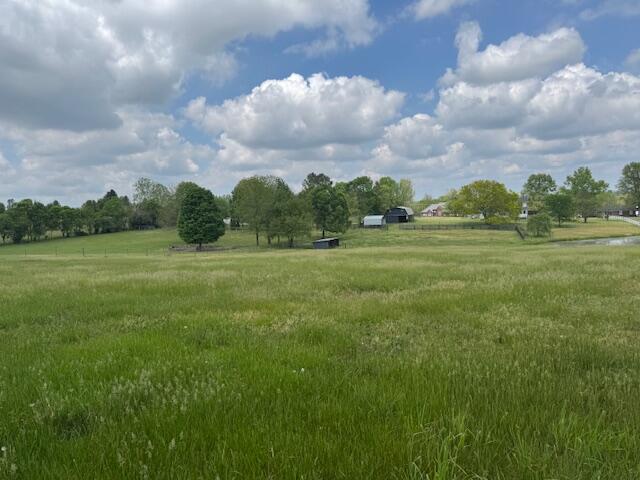 235 Winterhawk Lane Property Photo 13