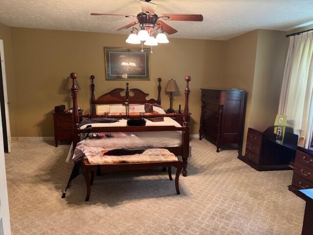 235 Winterhawk Lane Property Photo 29