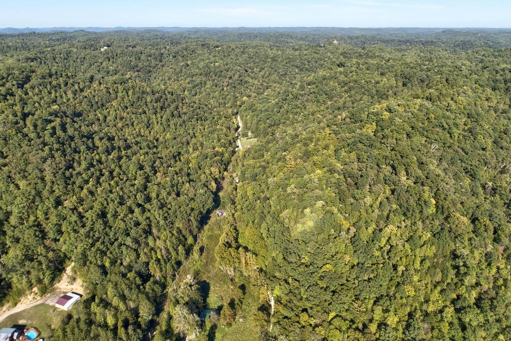 0 Lower Cane Creek/Edwards Road Property Photo 1