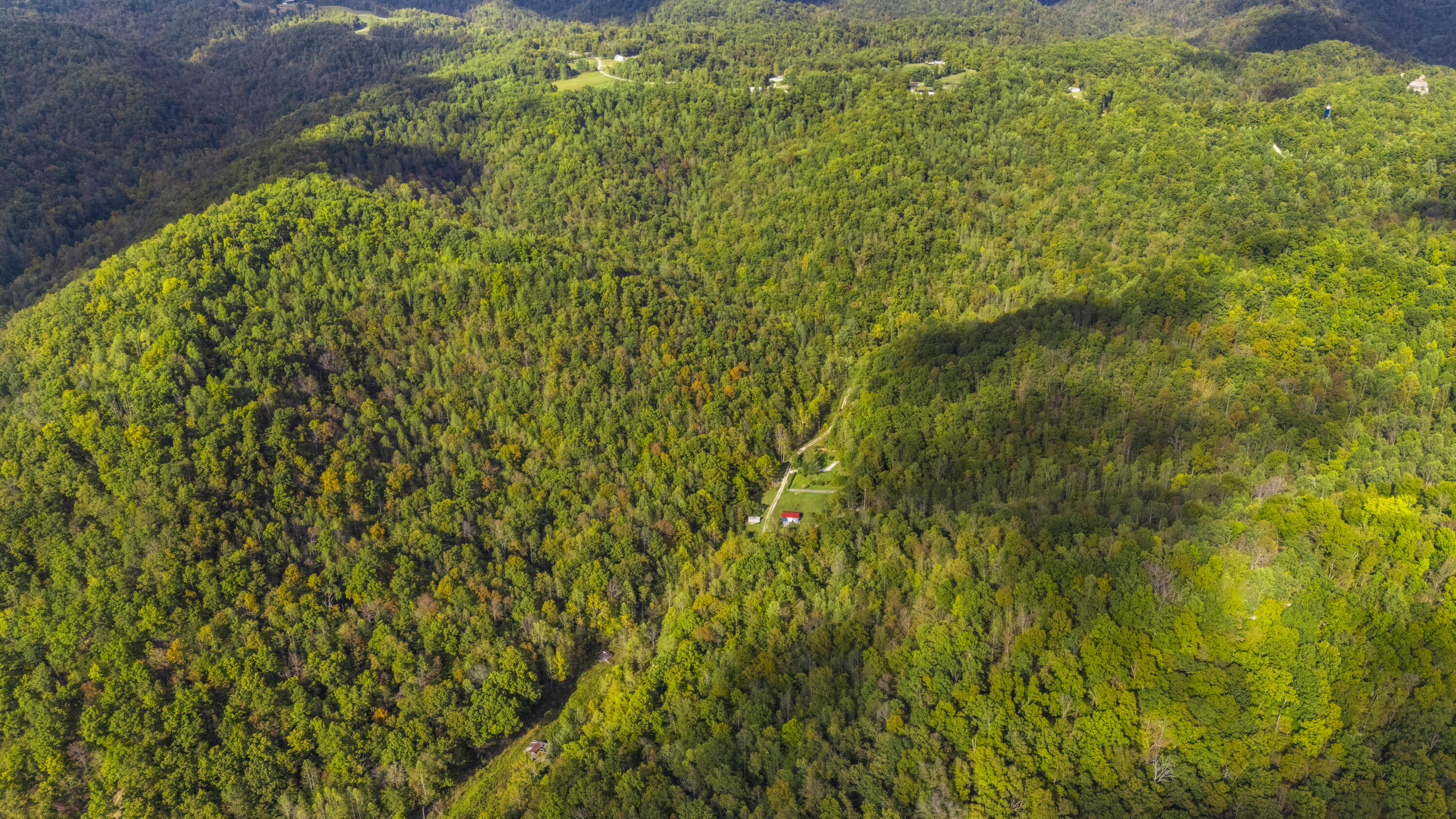 0 Lower Cane Creek/edwards Road Property Photo 4