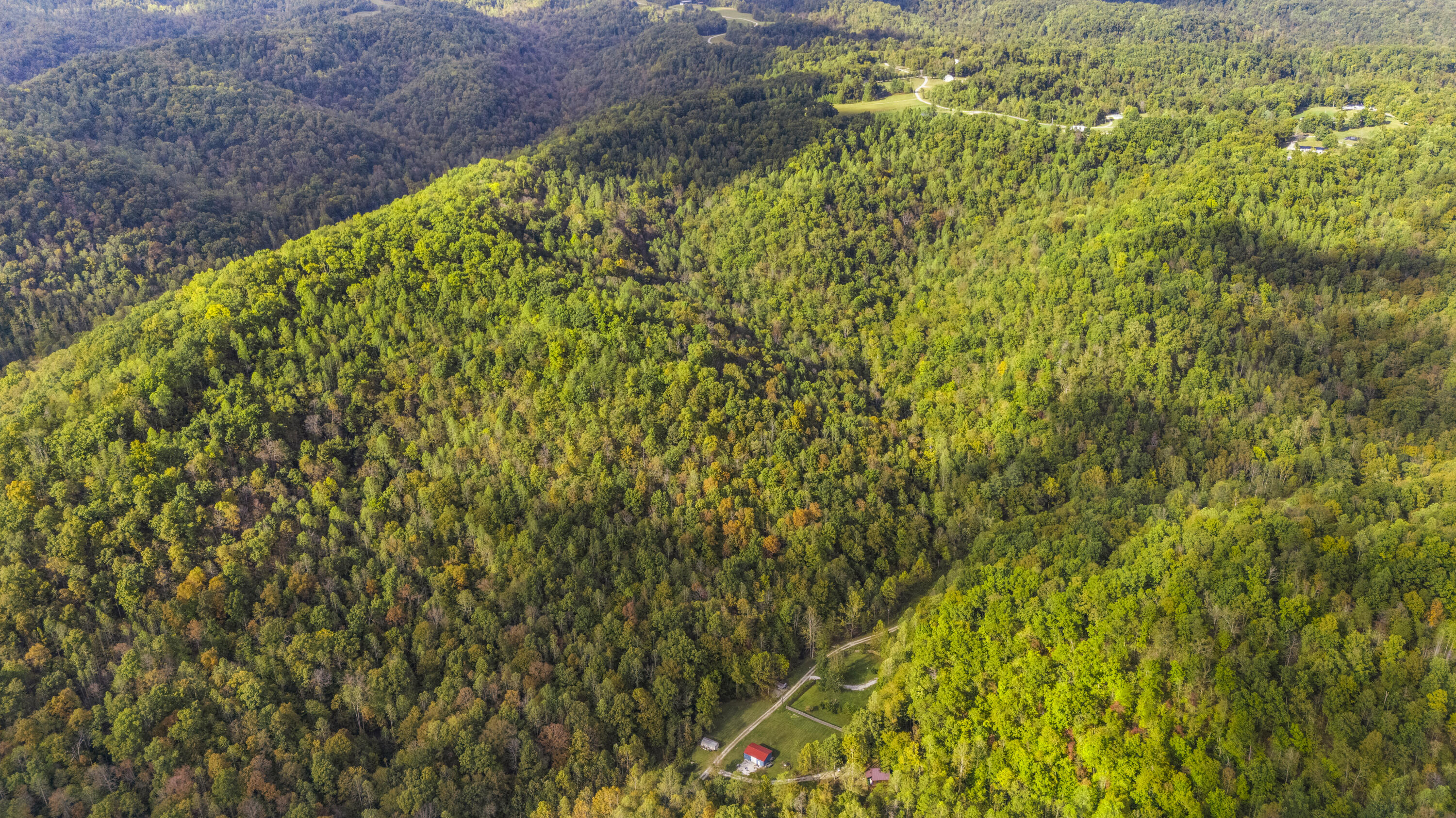 0 Lower Cane Creek/edwards Road Property Photo 6