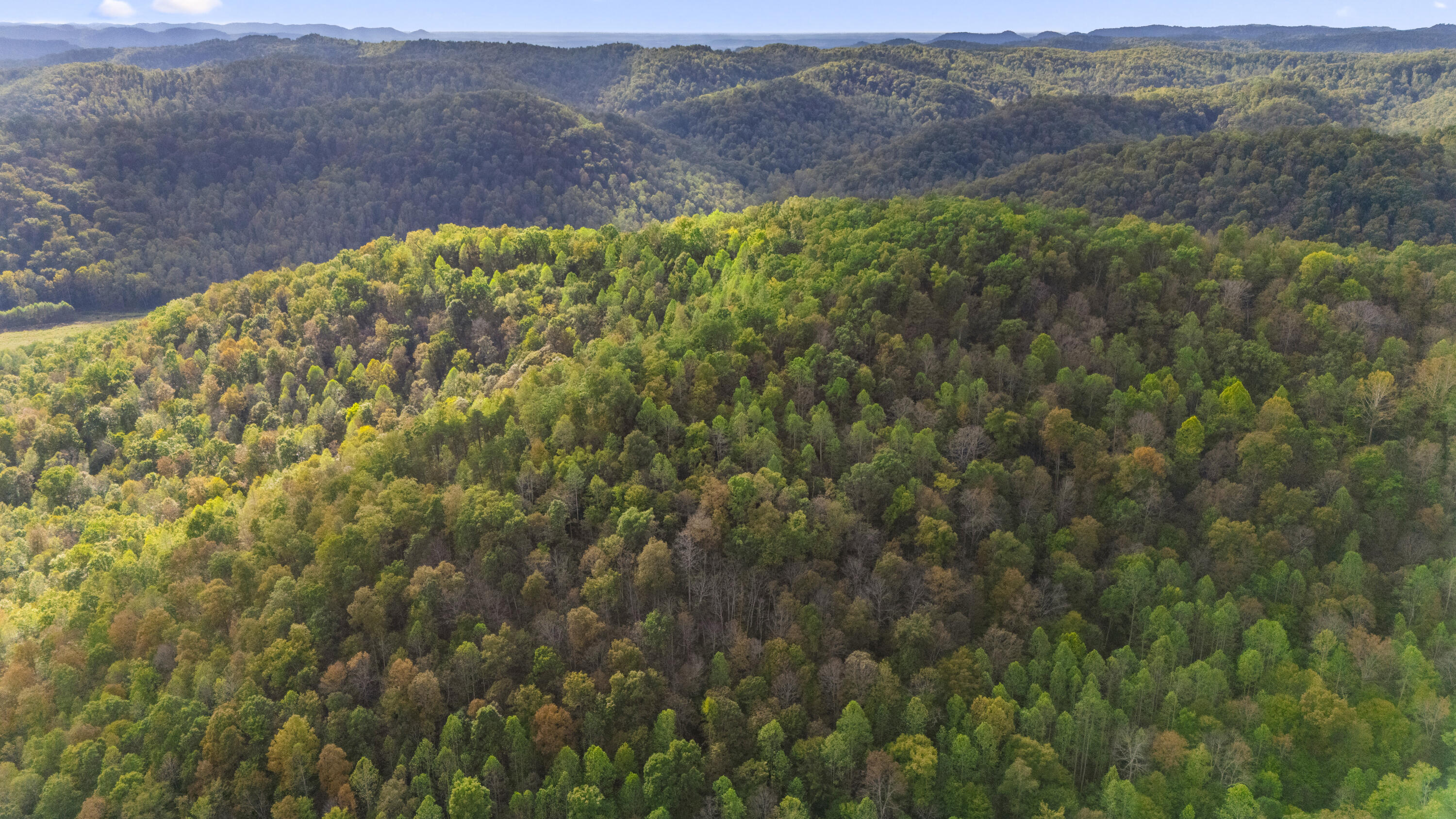 0 Lower Cane Creek/edwards Road Property Photo 9
