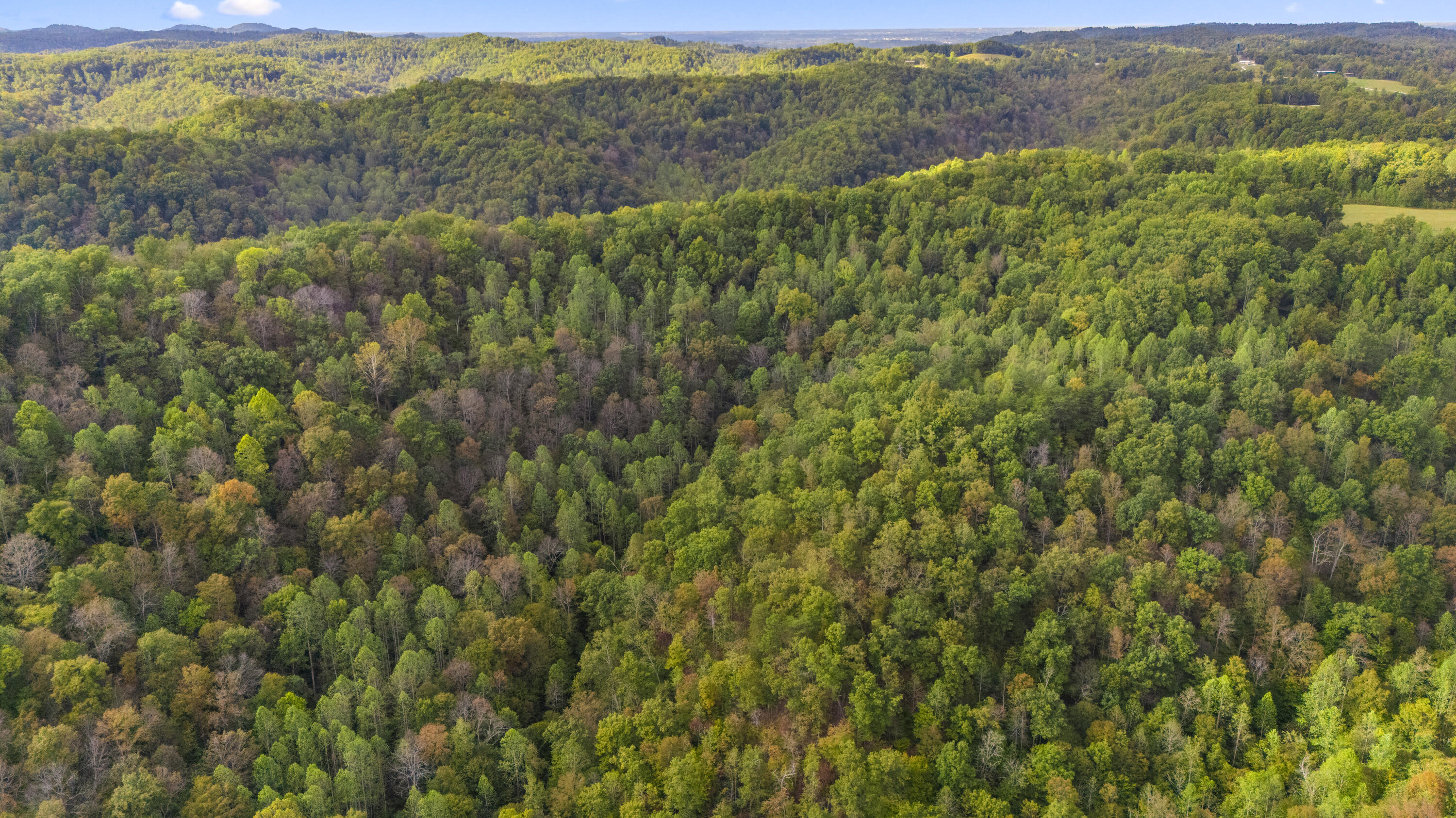 0 Lower Cane Creek/edwards Road Property Photo 10