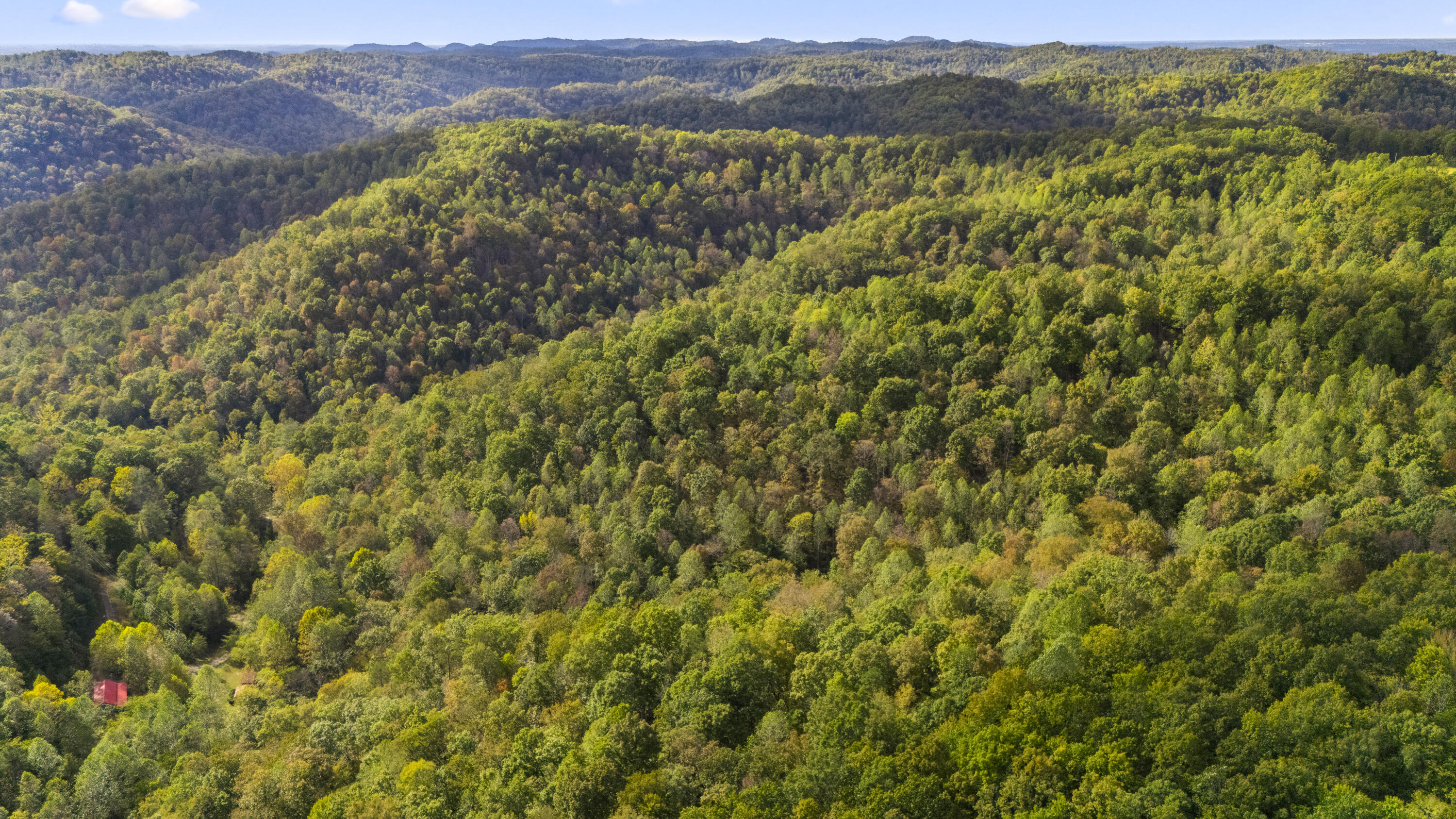 0 Lower Cane Creek/edwards Road Property Photo 12