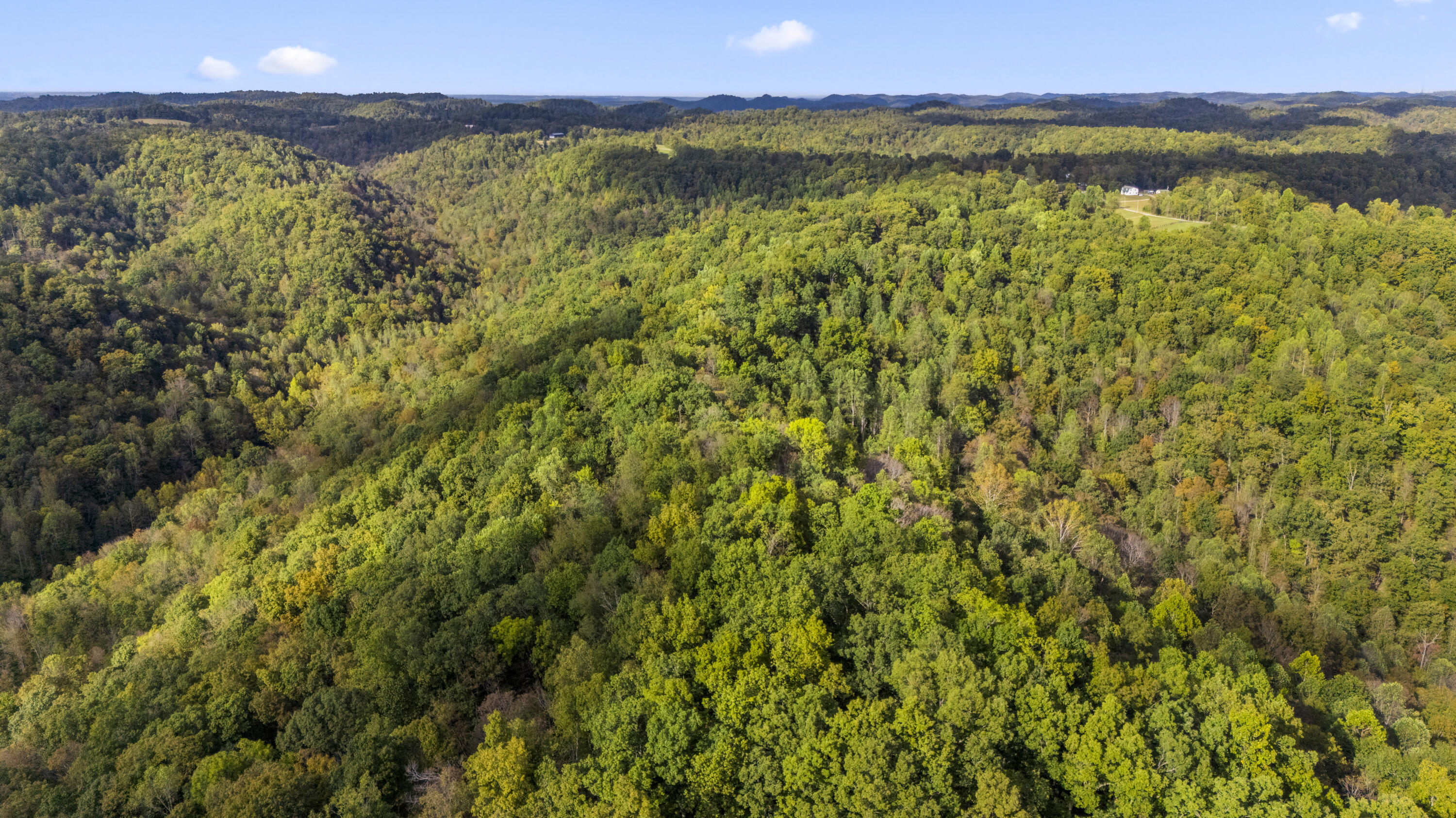 0 Lower Cane Creek/edwards Road Property Photo 15