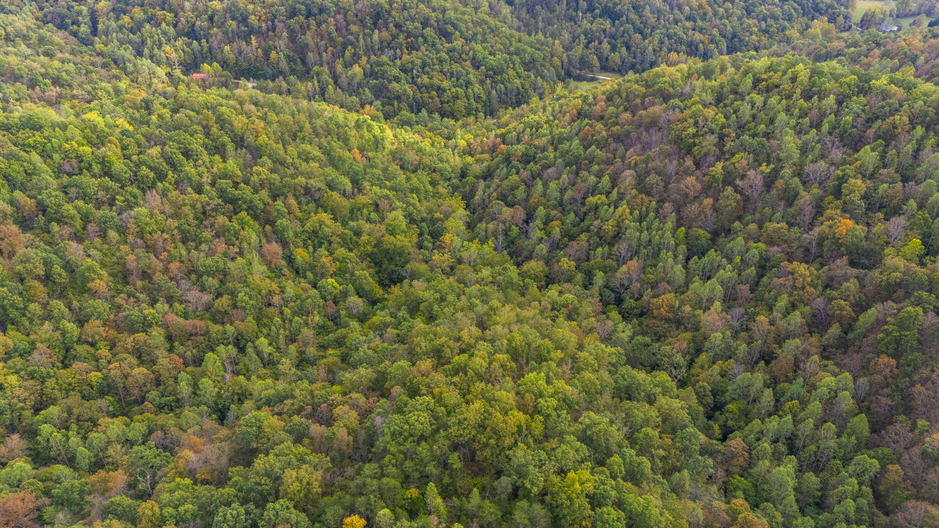 0 Lower Cane Creek/edwards Road Property Photo 17