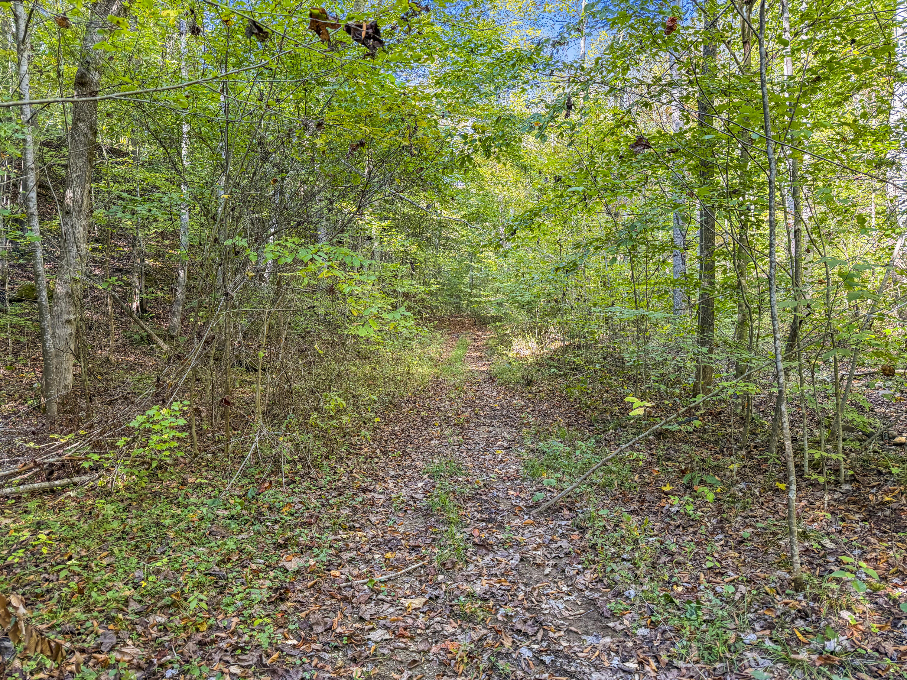 0 Lower Cane Creek/edwards Road Property Photo 18