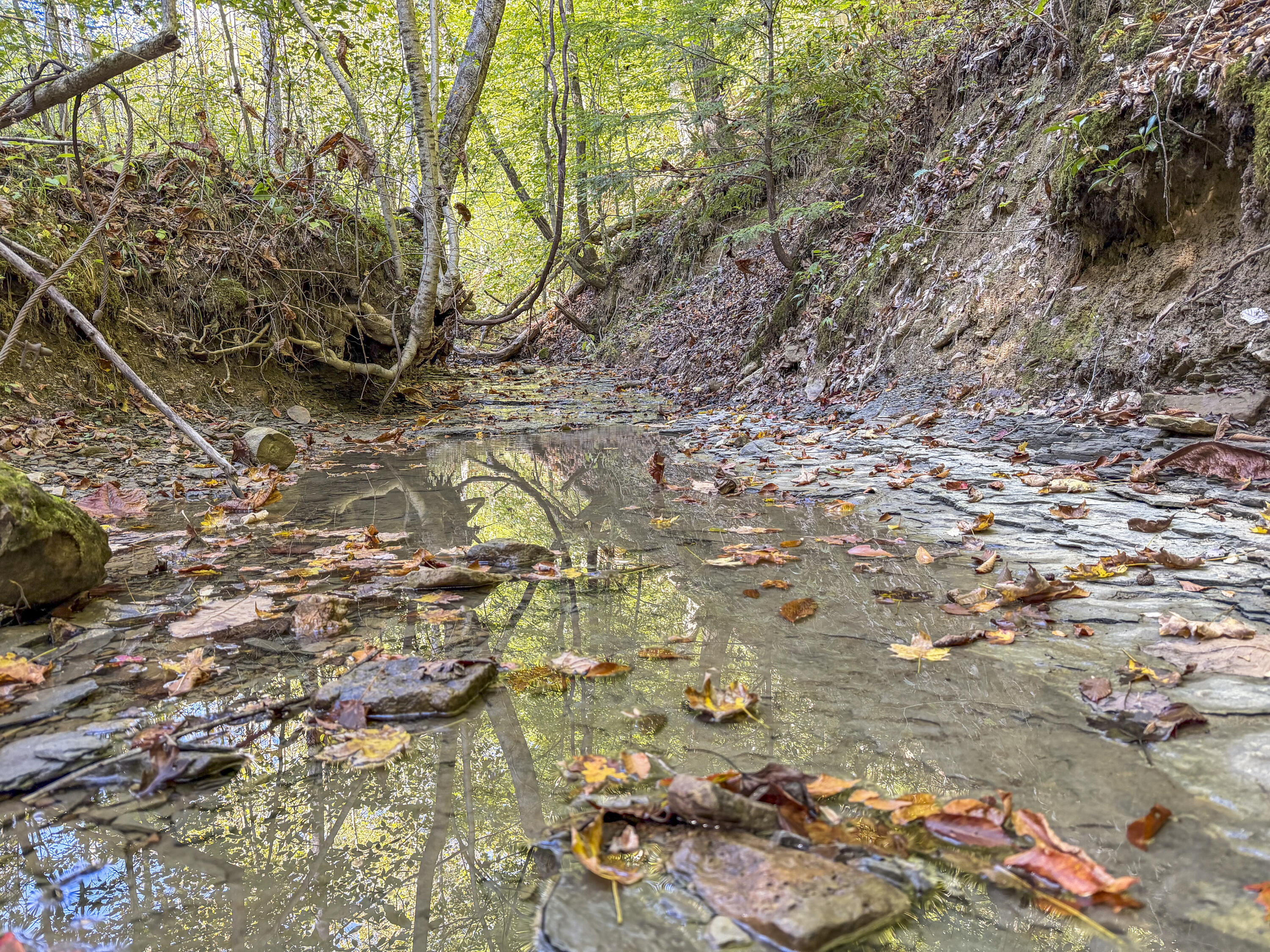 0 Lower Cane Creek/edwards Road Property Photo 19