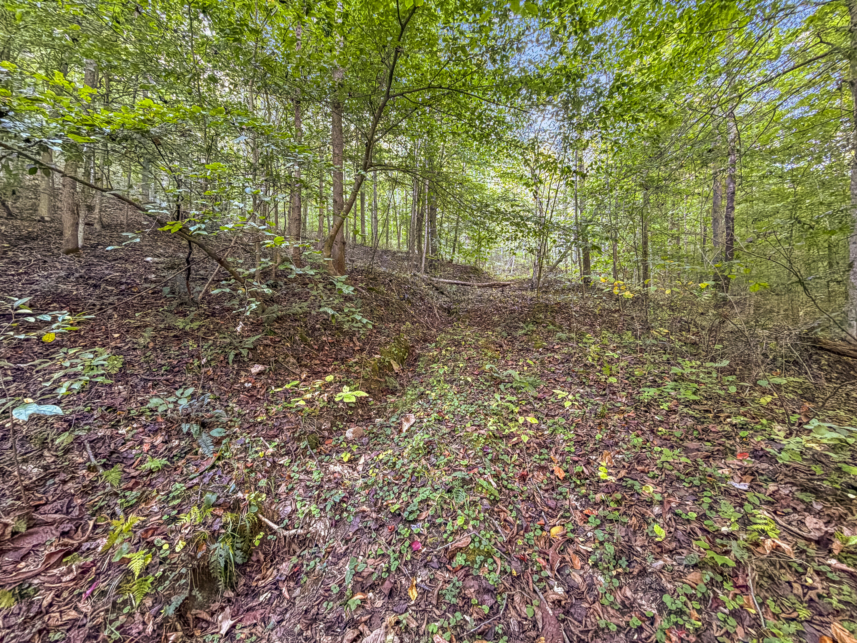 0 Lower Cane Creek/edwards Road Property Photo 28